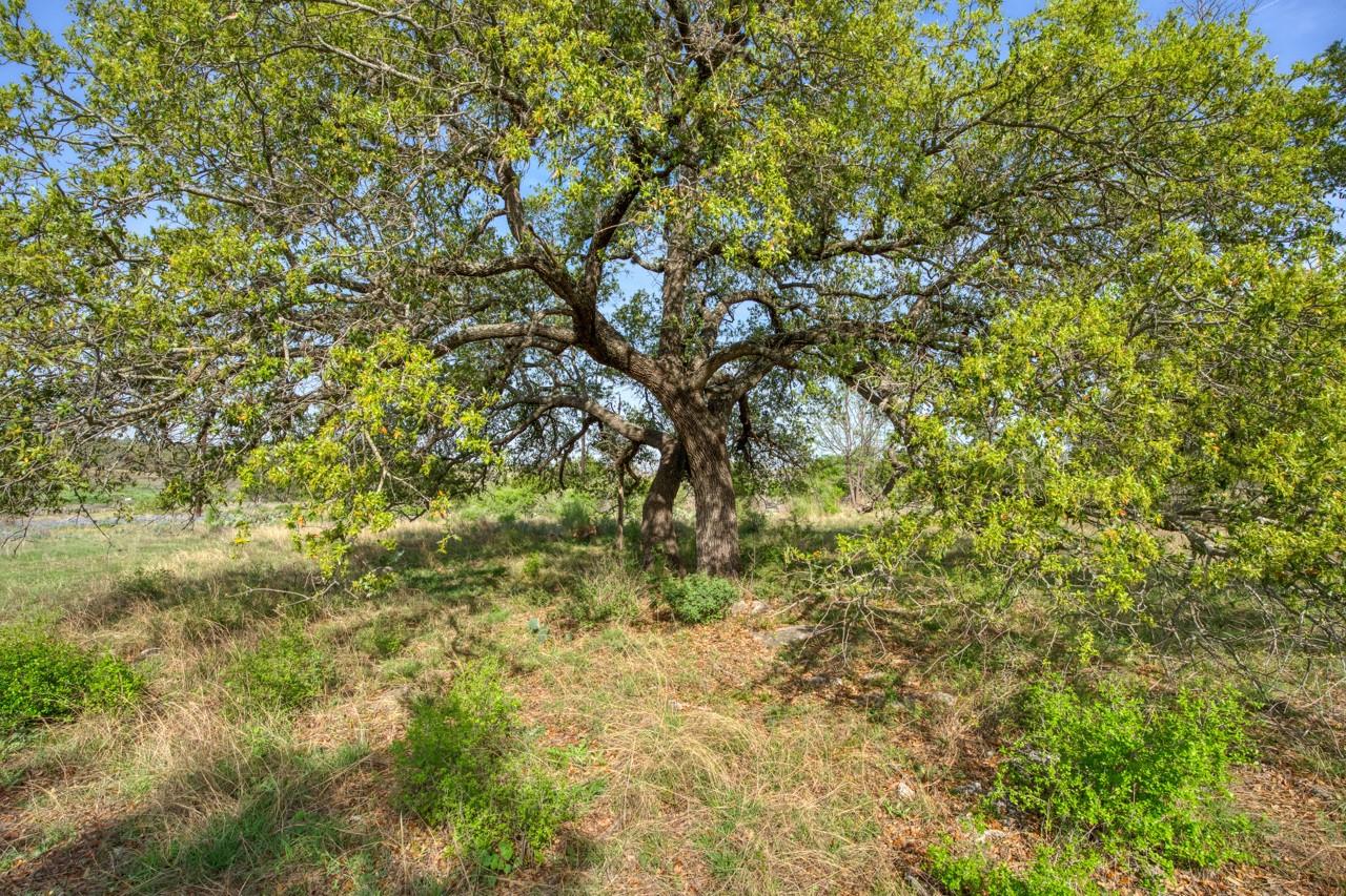 158 One River Pt Property Photo 14