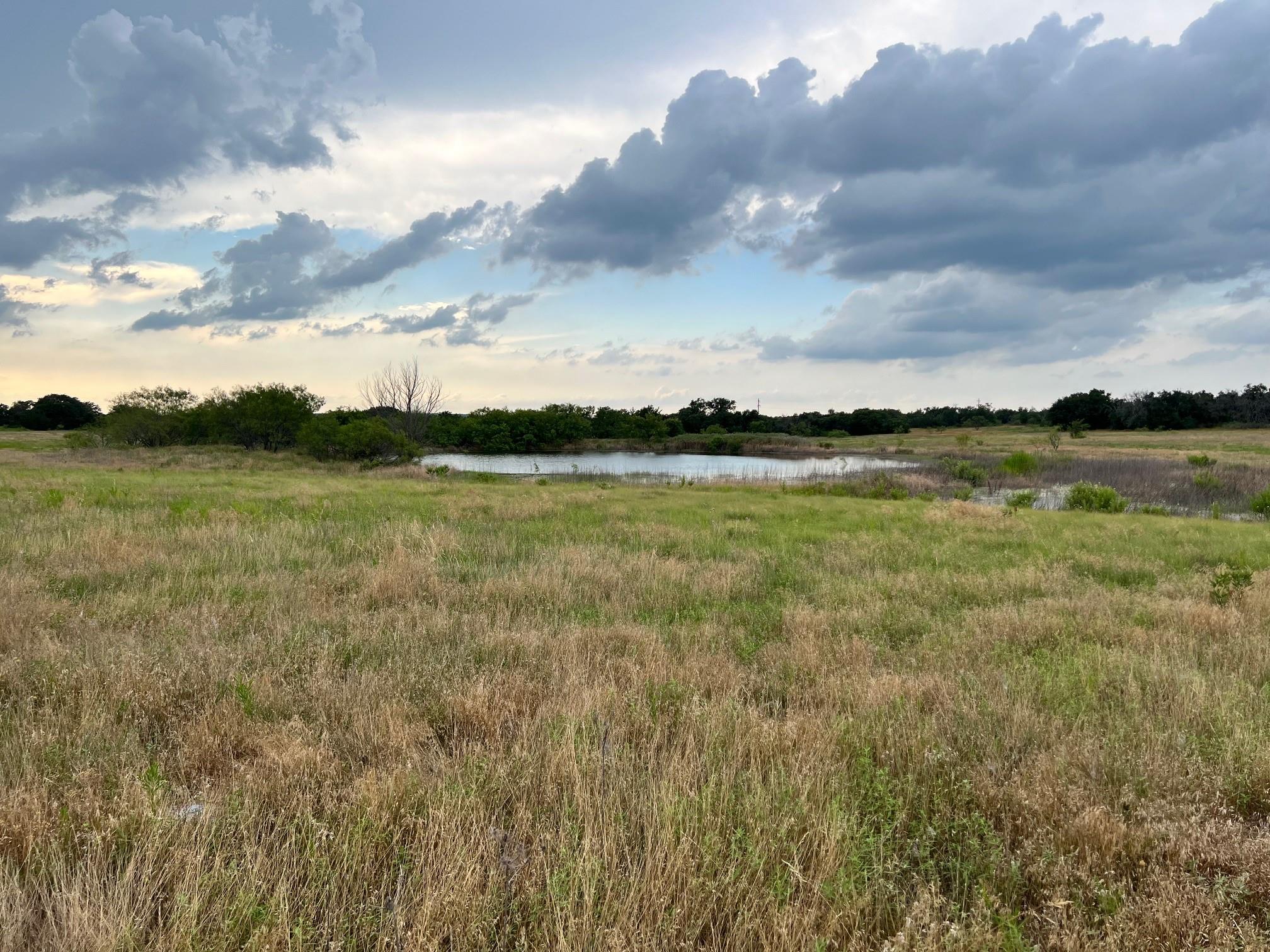 Tract 9 Fm 1702 Property Photo 4
