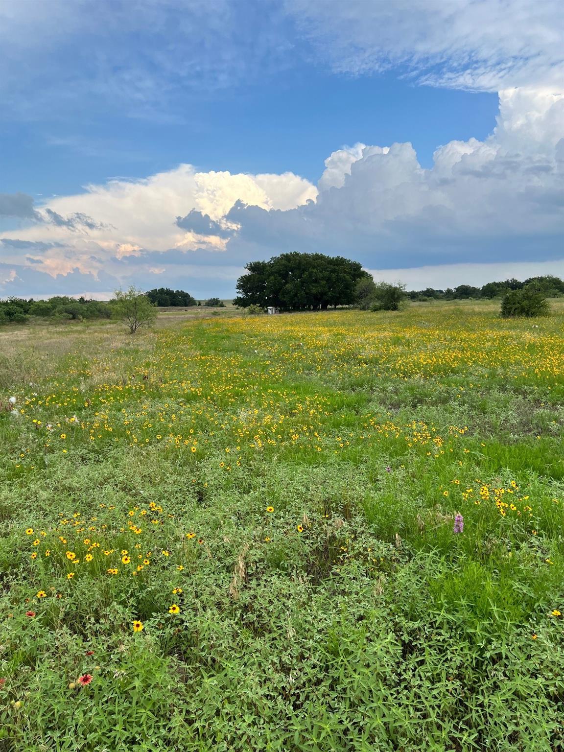 Tract 9 Fm 1702 Property Photo 12