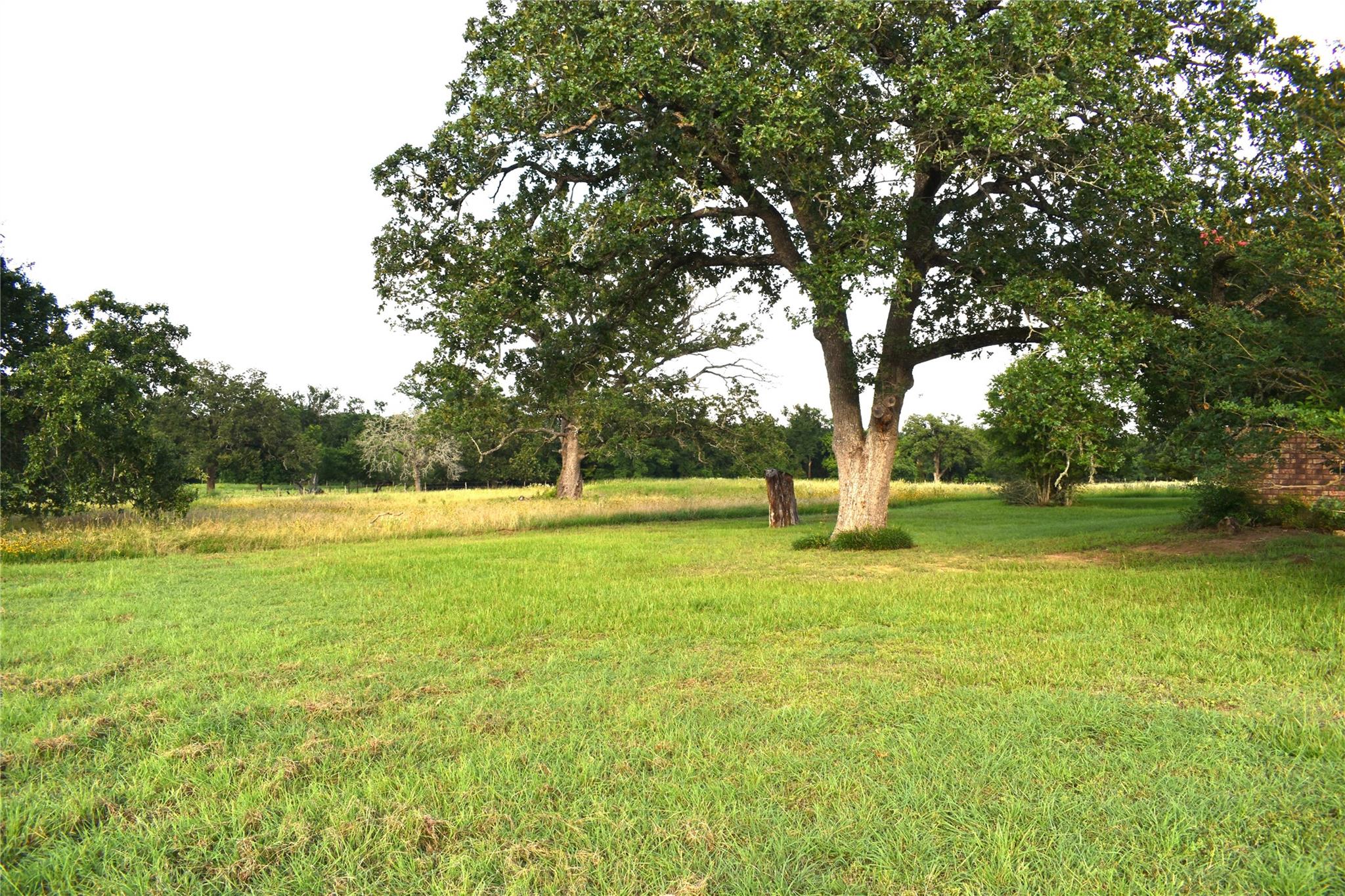 577 S Fm 487 Property Photo 7
