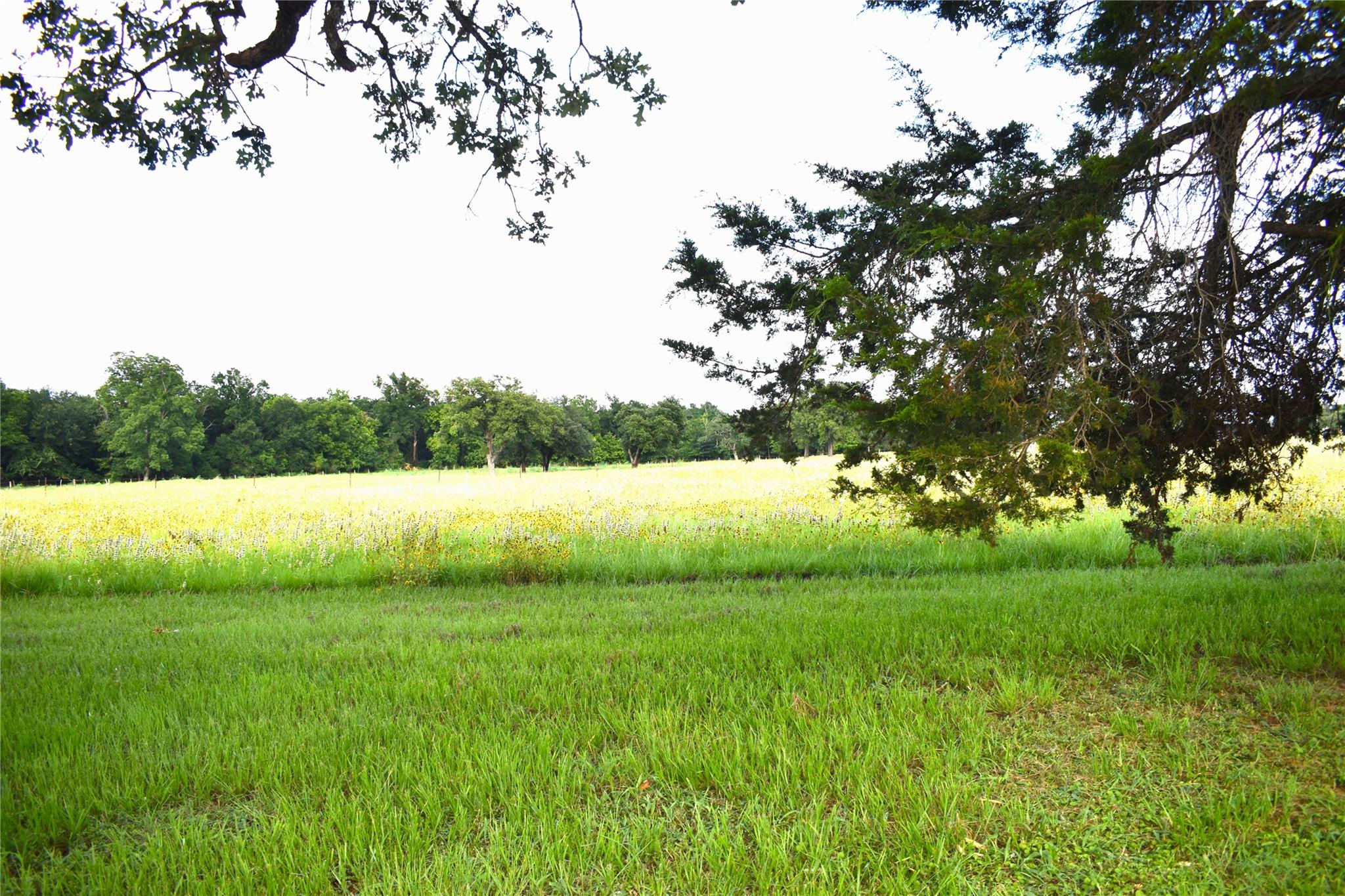 577 S Fm 487 Property Photo 25