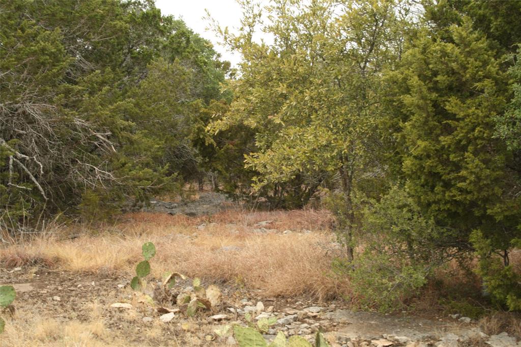 1225 Mystic Shores Blvd Property Photo 4