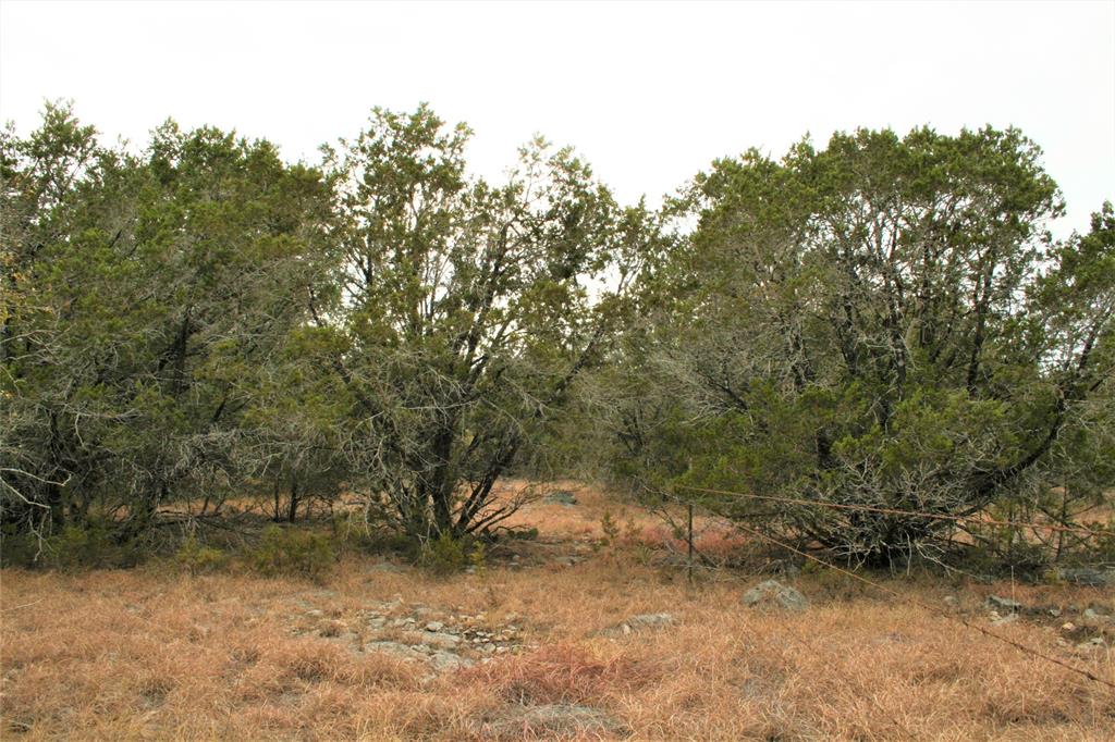 1225 Mystic Shores Blvd Property Photo 8