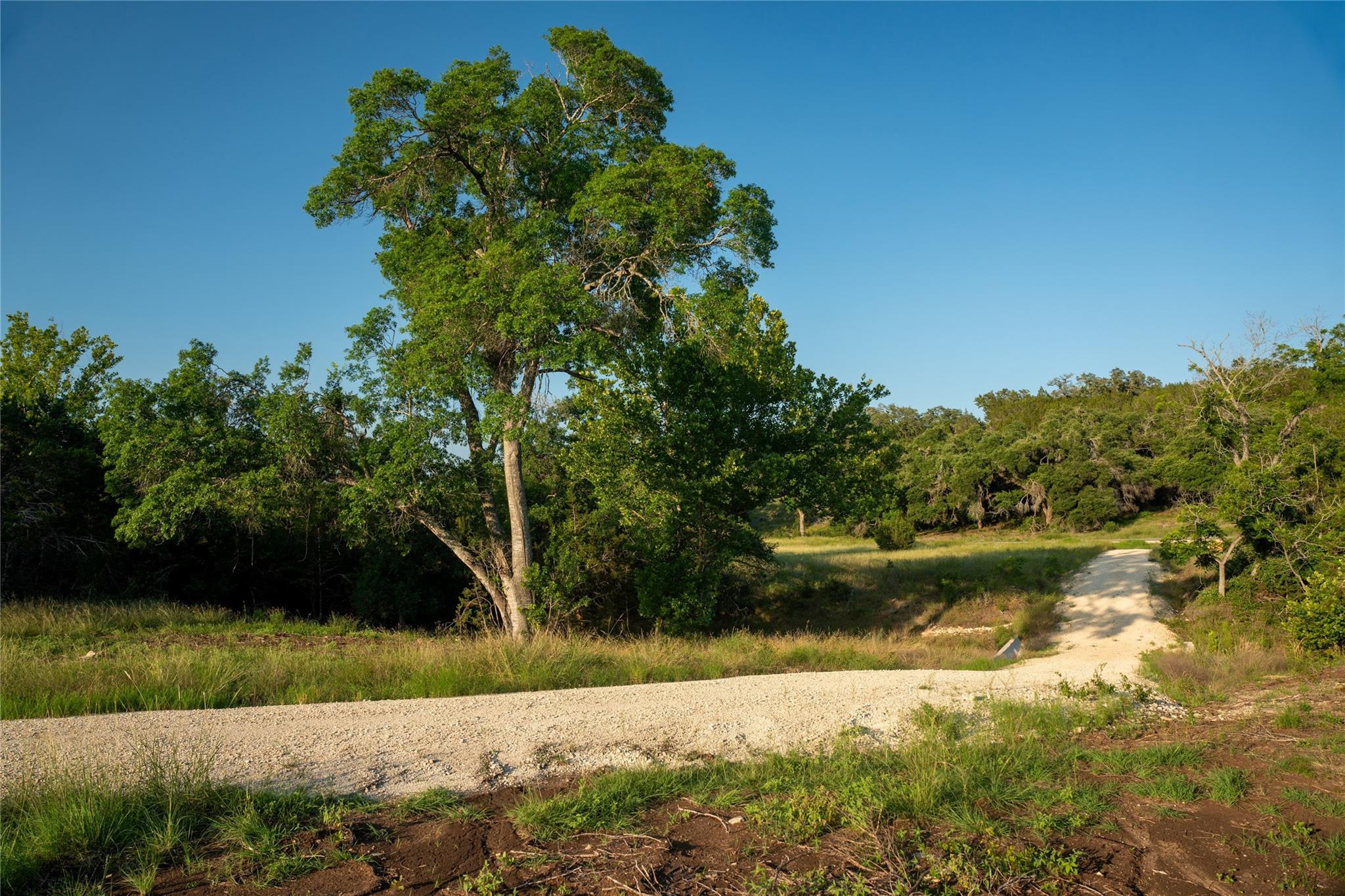 Lot 2 Bluff Springs Dr Property Photo 3