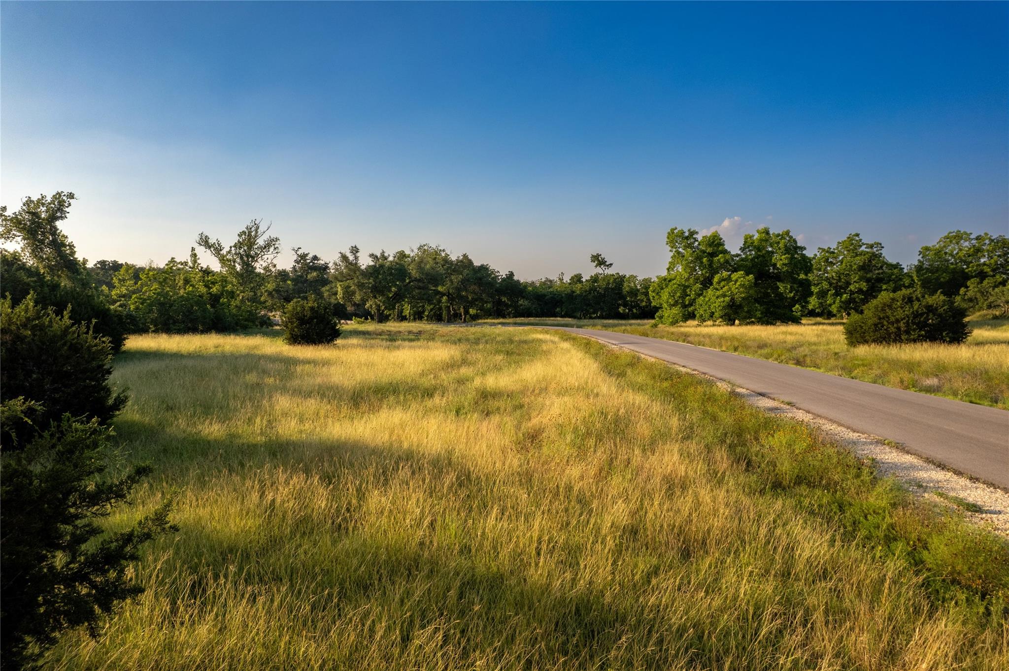 Lot 2 Bluff Springs Dr Property Photo 6