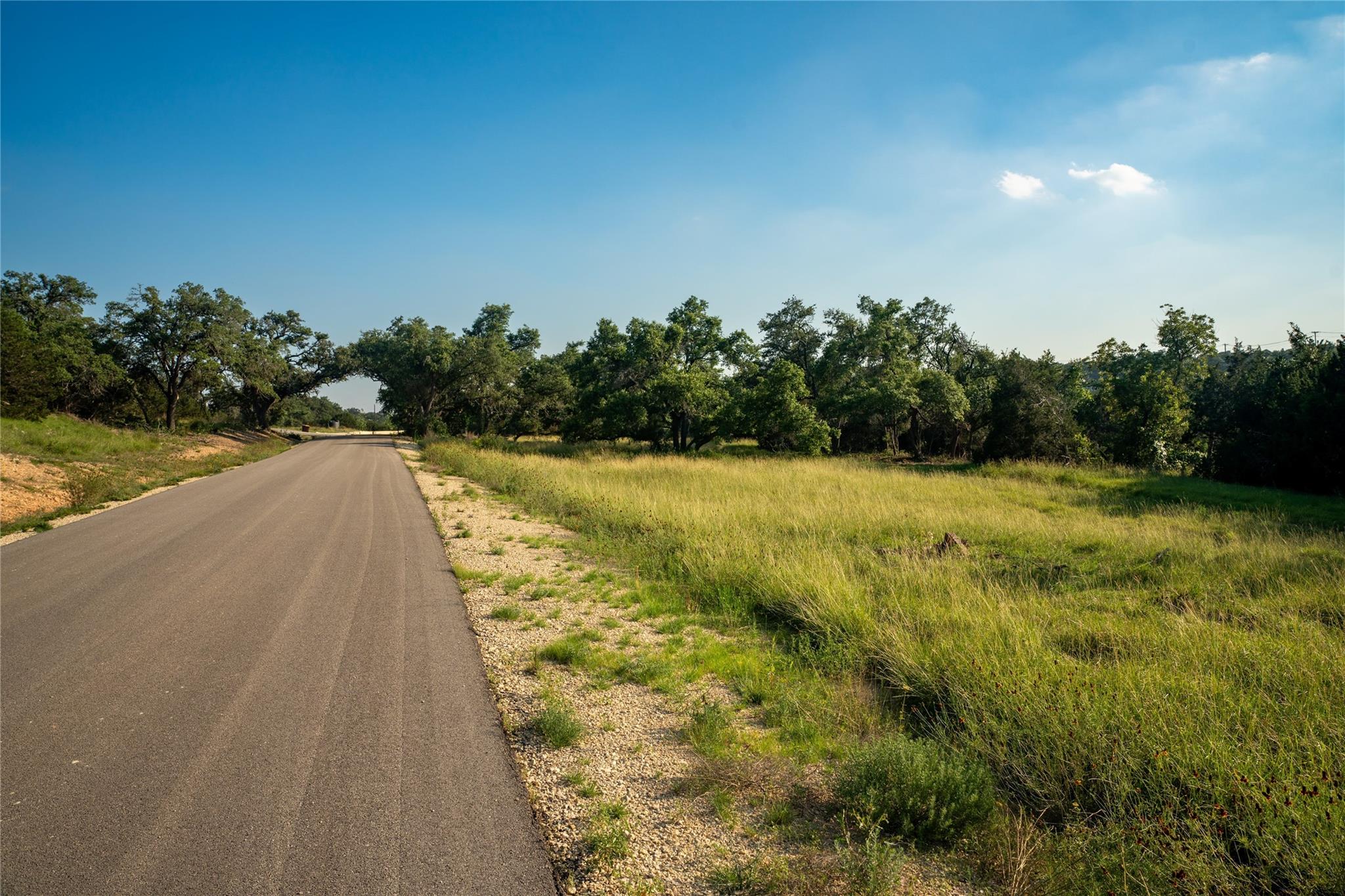 Lot 2 Bluff Springs Dr Property Photo 7