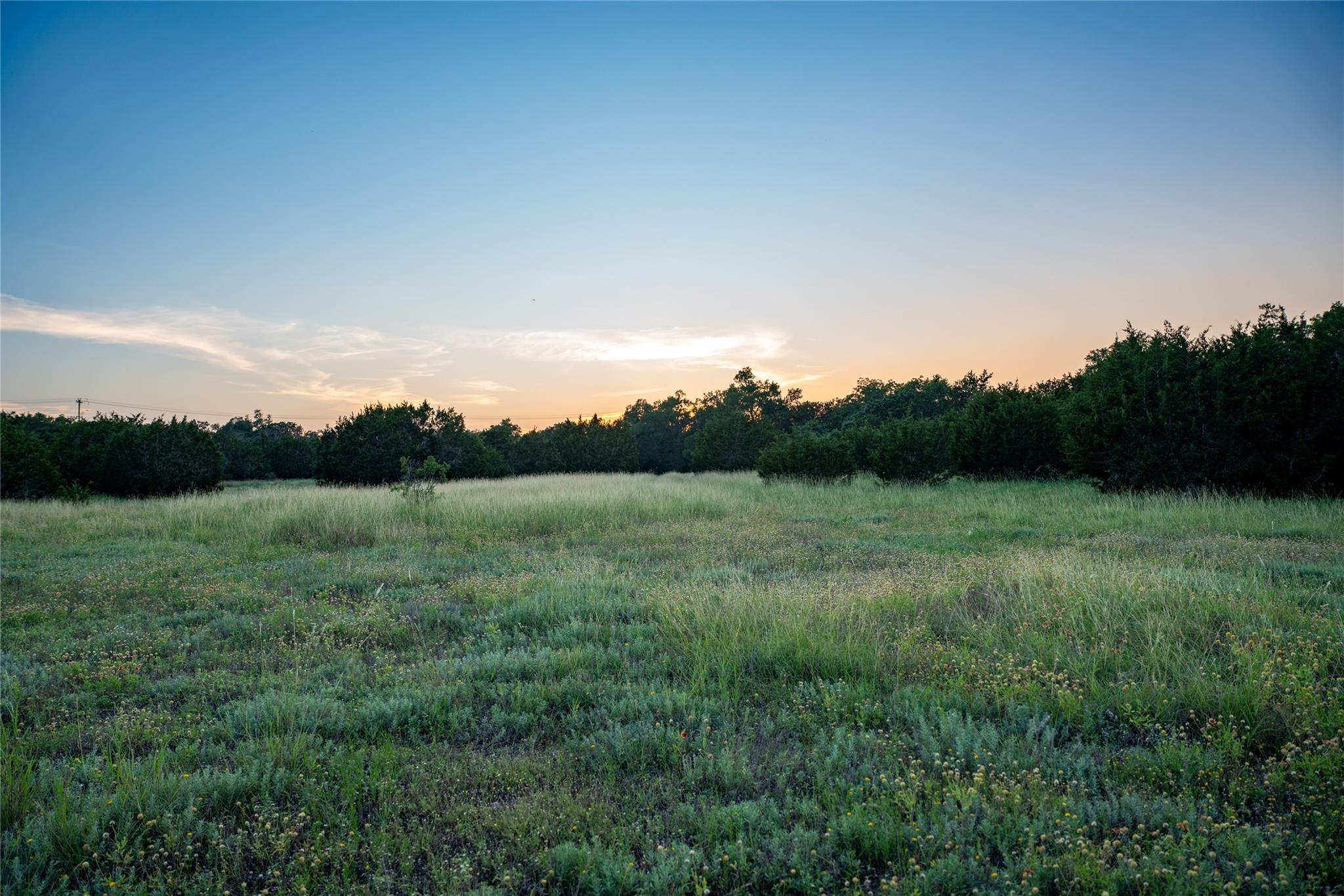 Lot 2 Bluff Springs Dr Property Photo 15