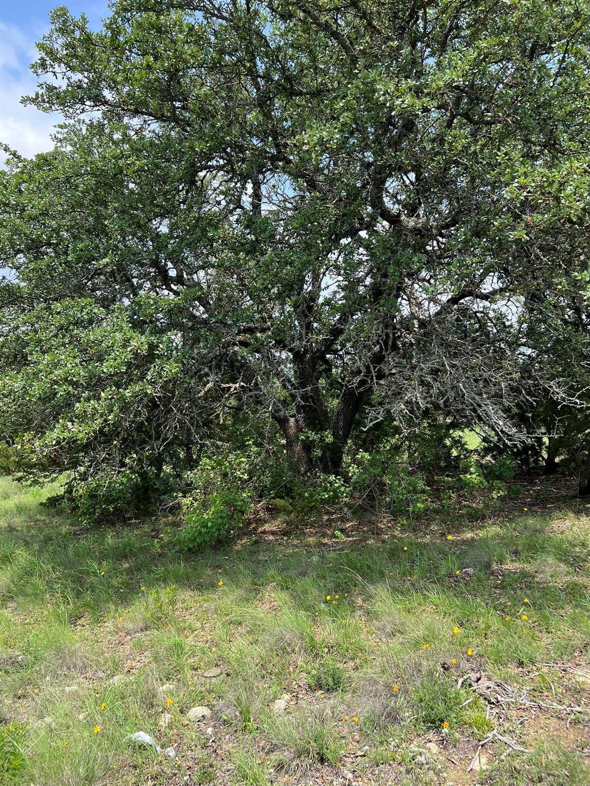 23 Lipan Apache Run Property Photo 9