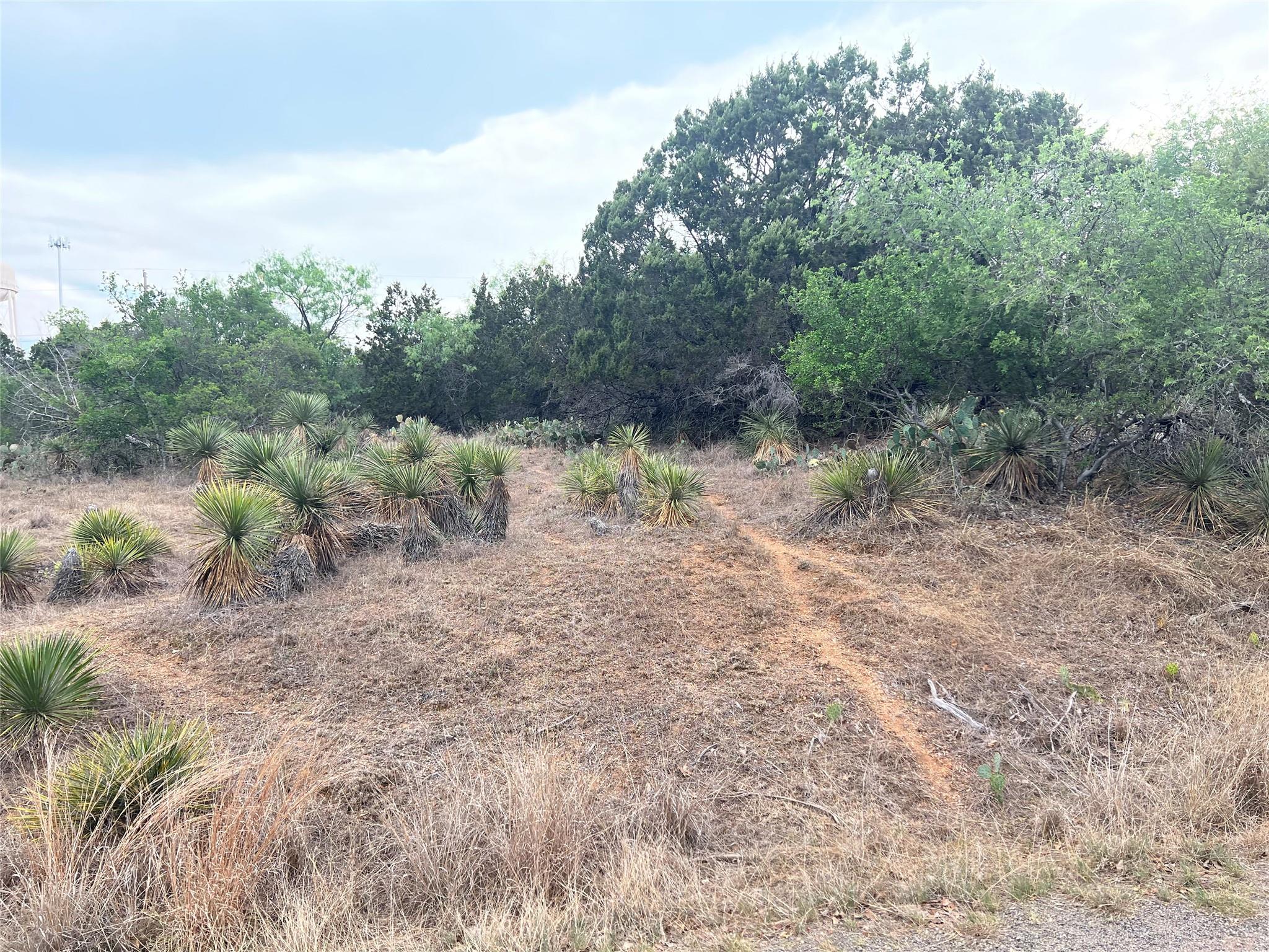 Lot 281 & 282 Briarway Dr Property Photo 4