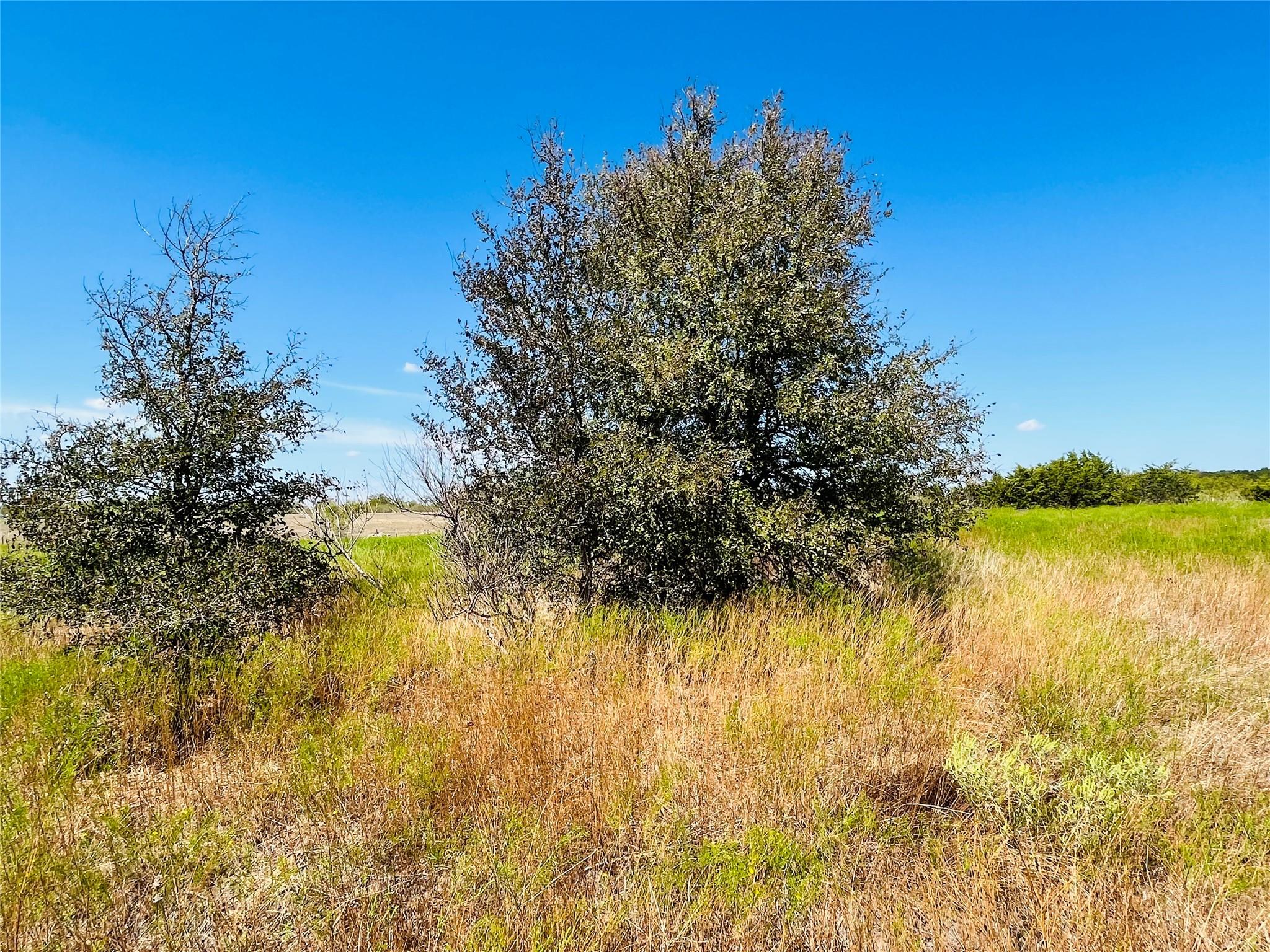 Tbd - Tract 4 N Fm 243 Property Photo 5