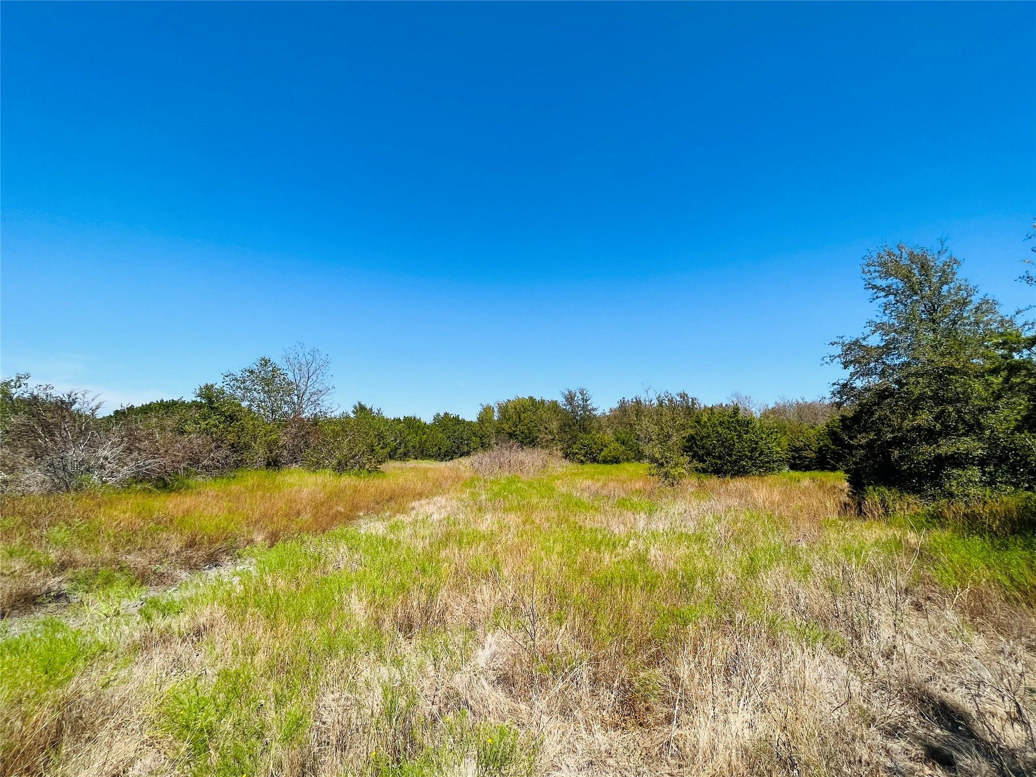 Tbd - Tract 4 N Fm 243 Property Photo 9