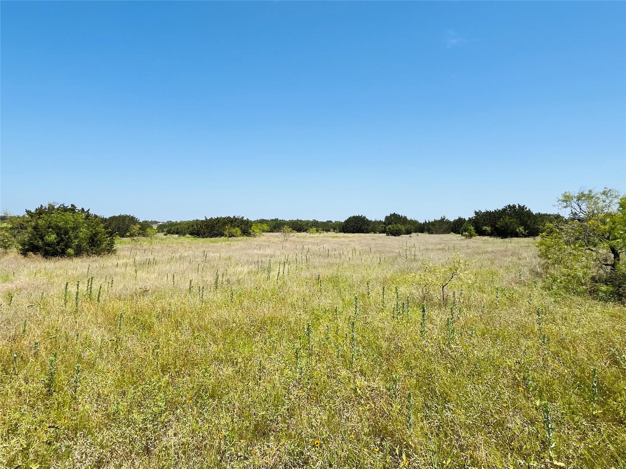 Tbd - Tract 4 N Fm 243 Property Photo 10