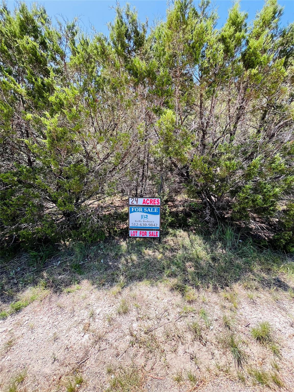 Tbd - Tract 4 N Fm 243 Property Photo 11