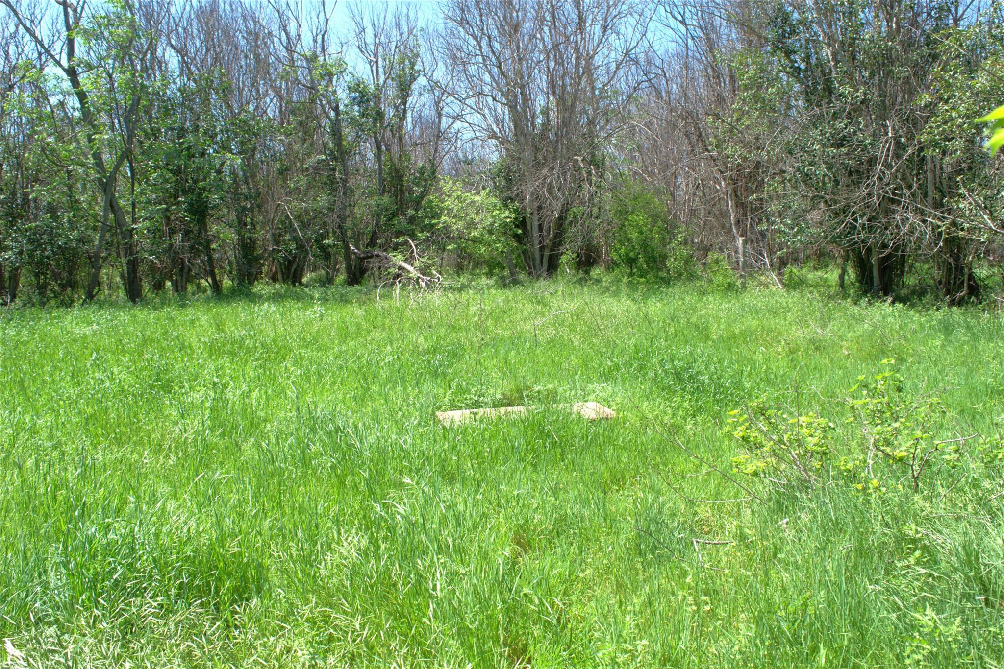 Tbd 1st St Property Photo 6