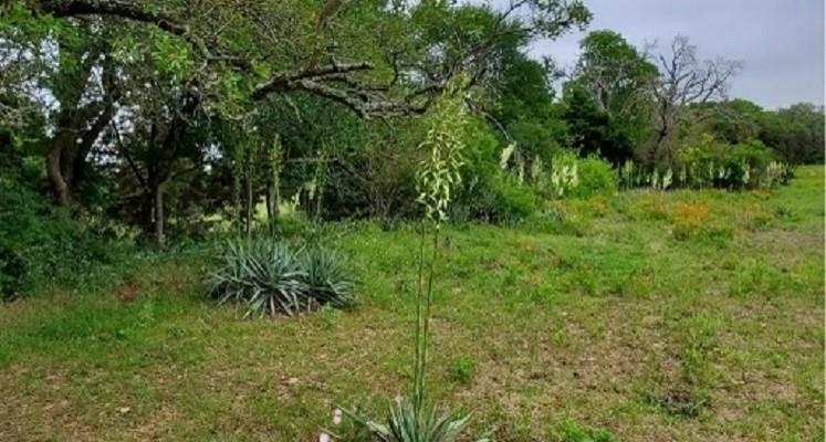 6514 W Hwy 190 Property Photo 16