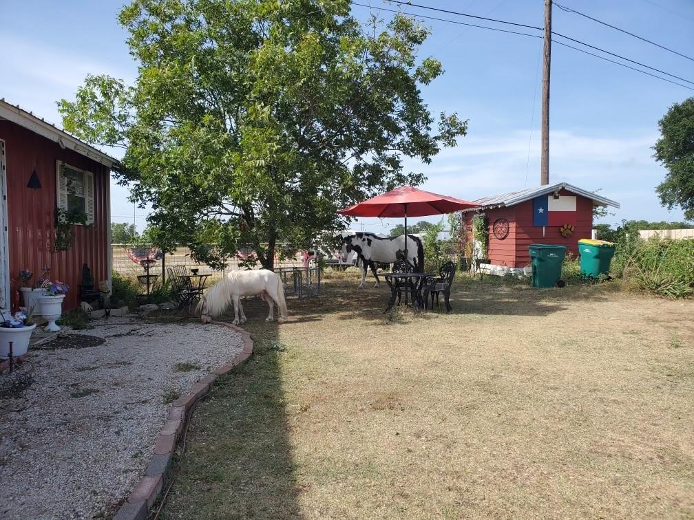 6514 W Hwy 190 Property Photo 22