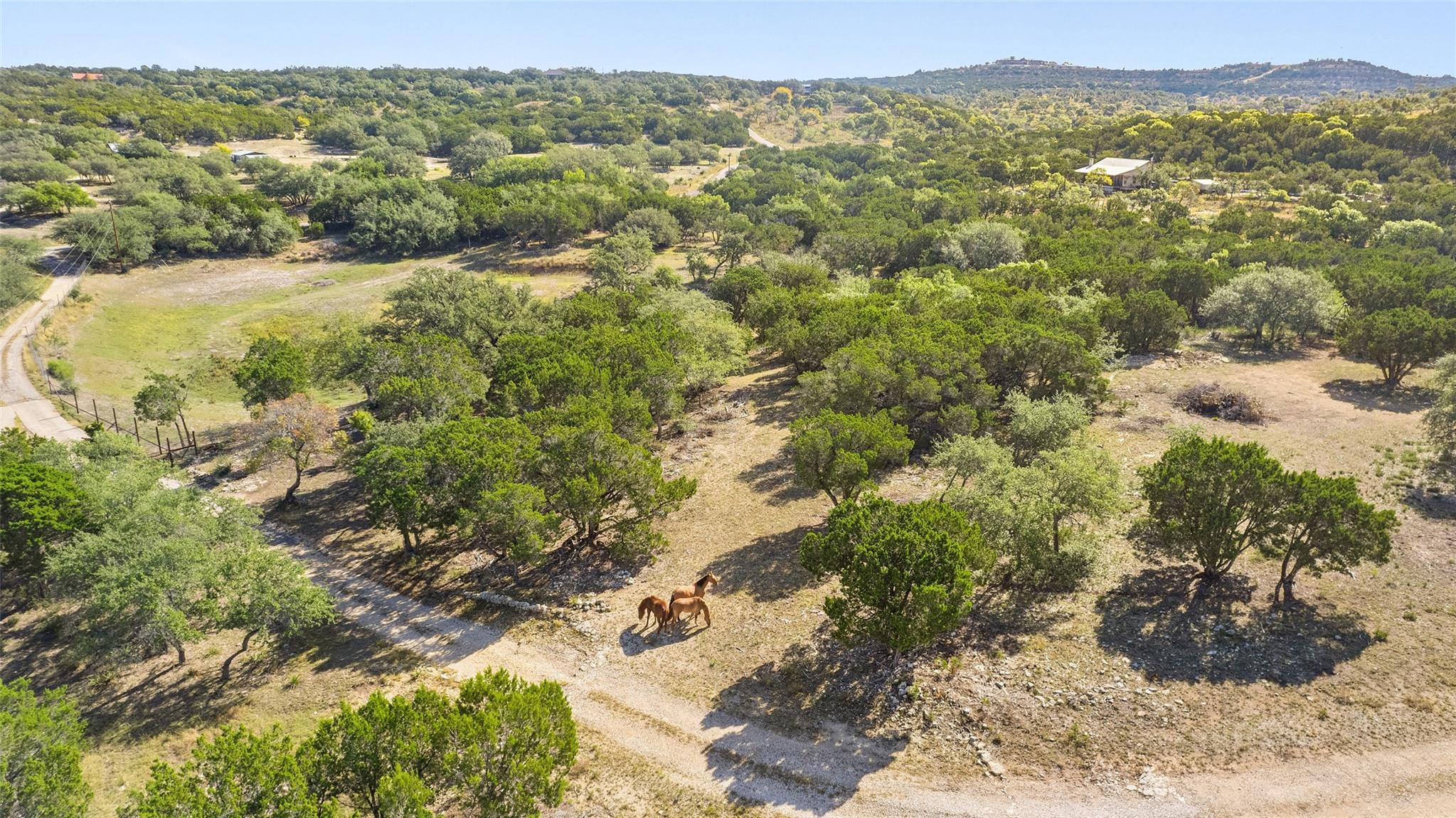 2822 Stagecoach Ranch Rd Property Photo 35