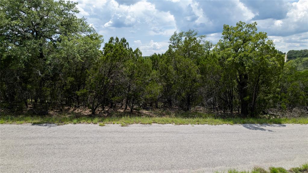 HB Lot K10033 Mountain Dew Property Photo 1