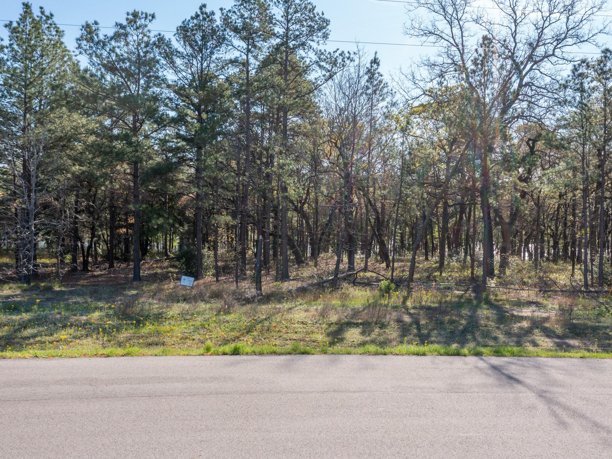 3108 Shadow Pine Dr Property Photo 11