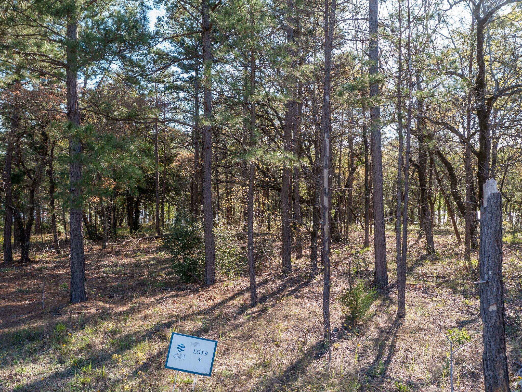 3108 Shadow Pine Dr Property Photo 13