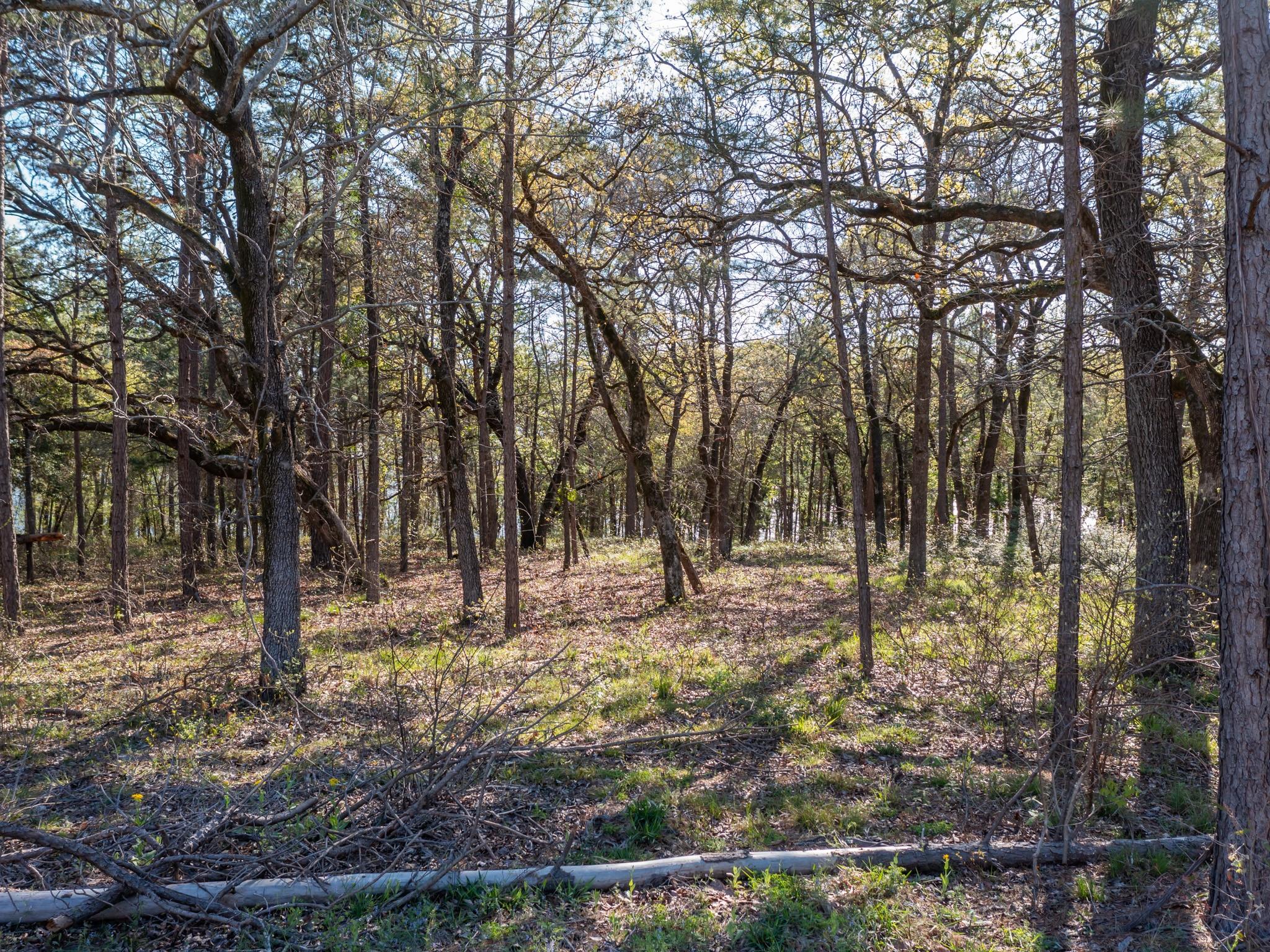 3108 Shadow Pine Dr Property Photo 14