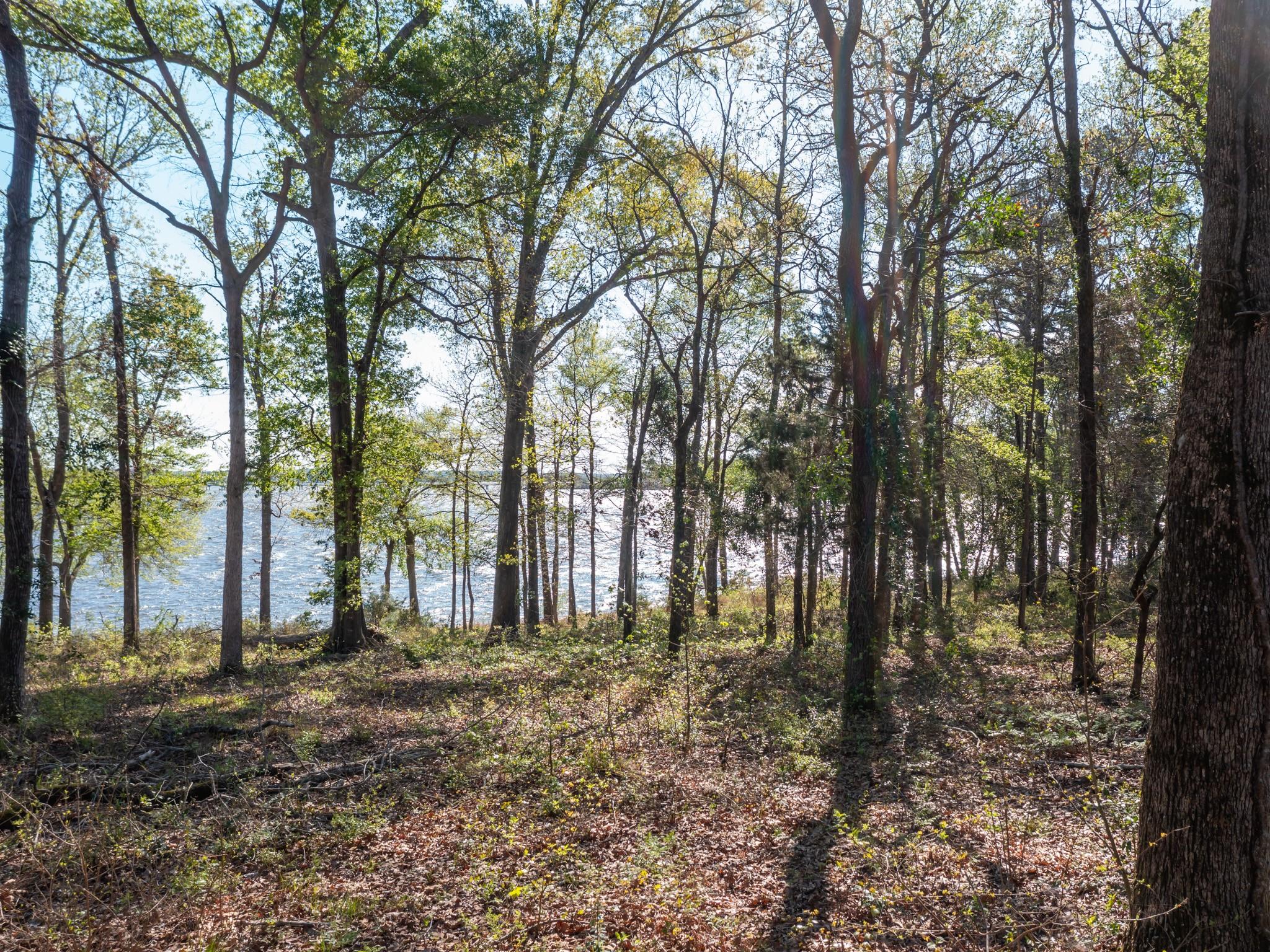 3108 Shadow Pine Dr Property Photo 16
