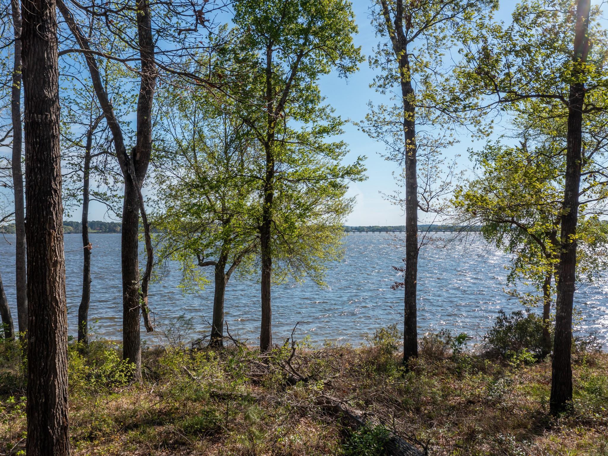 3108 Shadow Pine Dr Property Photo 17