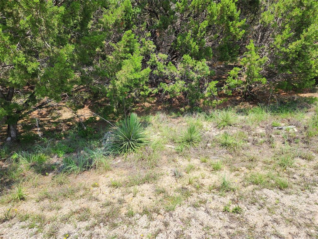 21304 Highland Lake Dr Property Photo 2