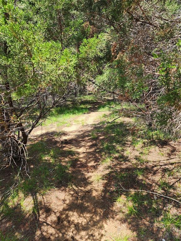 21304 Highland Lake Dr Property Photo 4