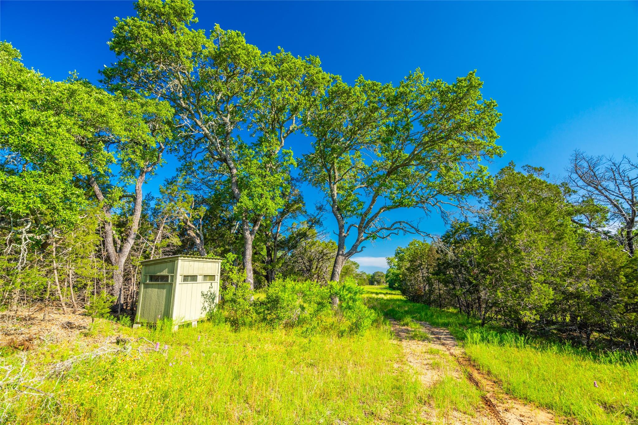 2950 County Road 101 Property Photo 4