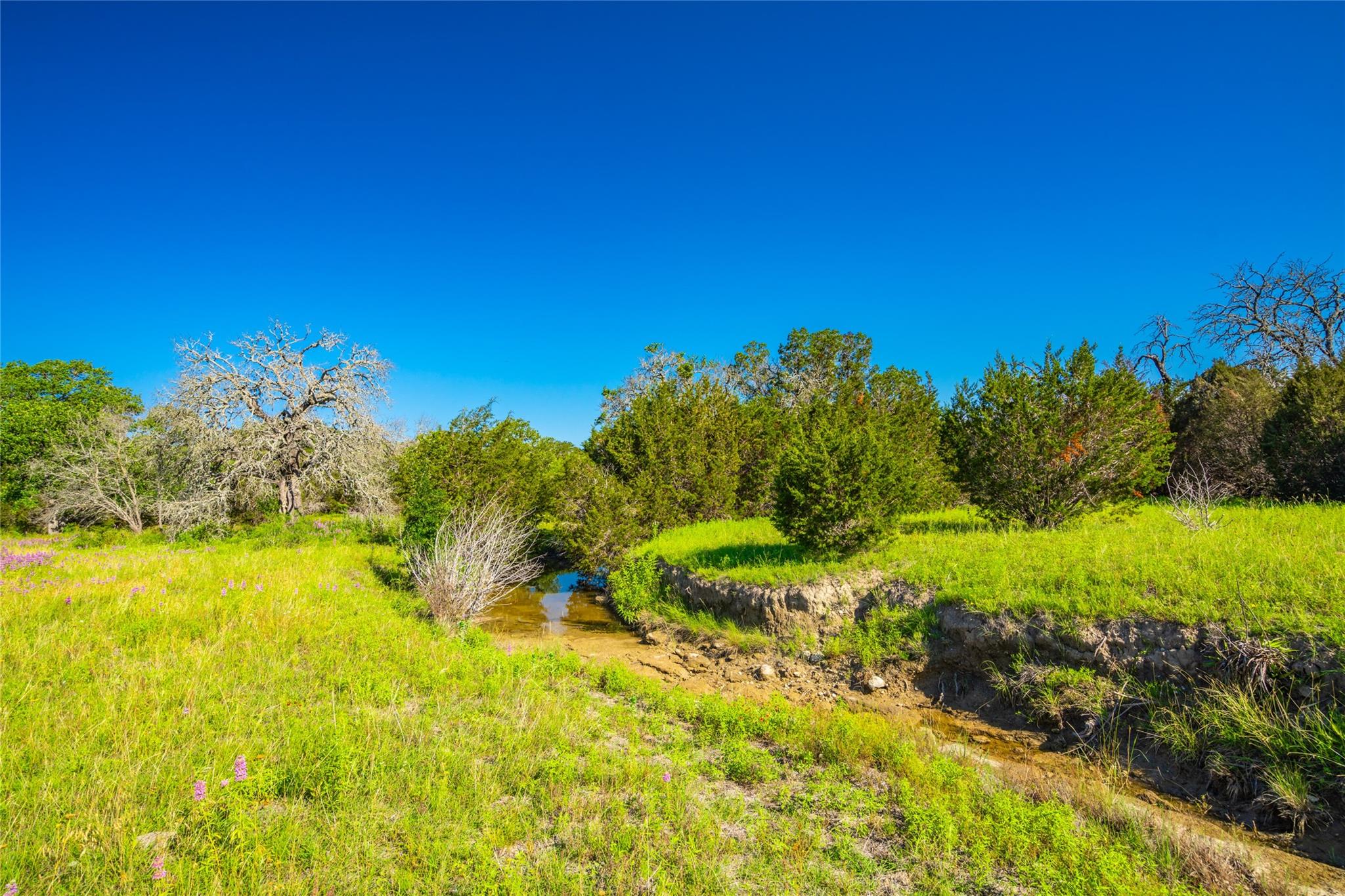 2950 County Road 101 Property Photo 6