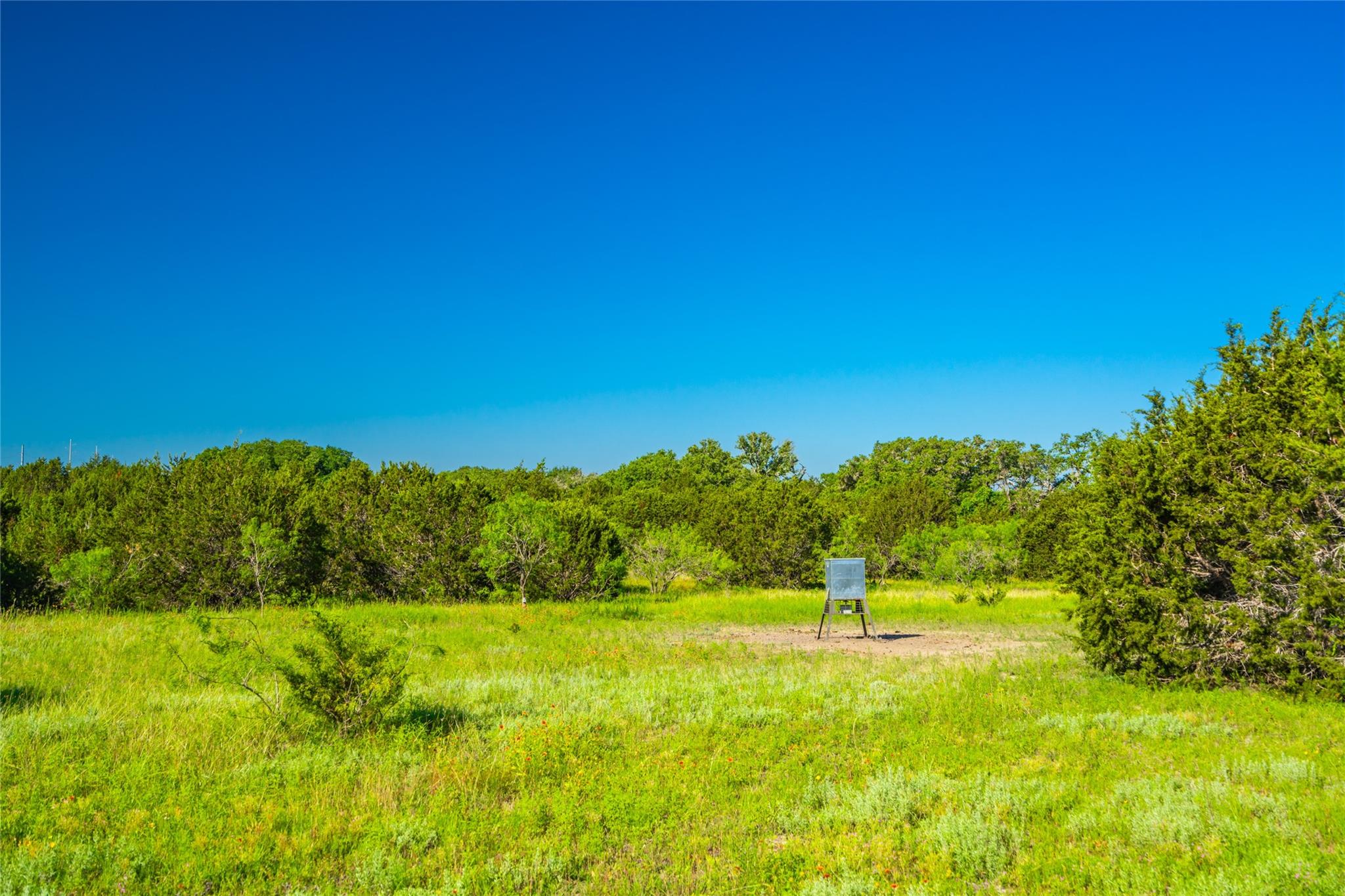 2950 County Road 101 Property Photo 35