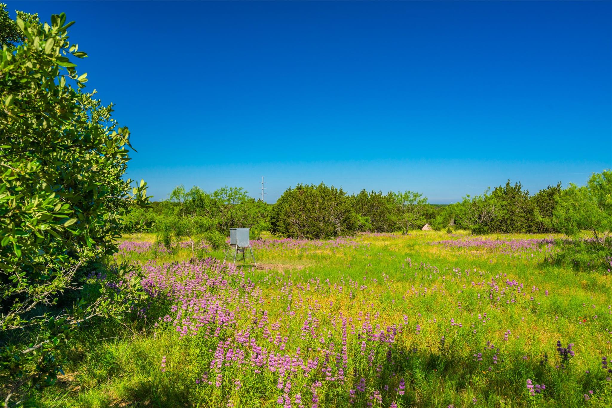 2950 County Road 101 Property Photo 37