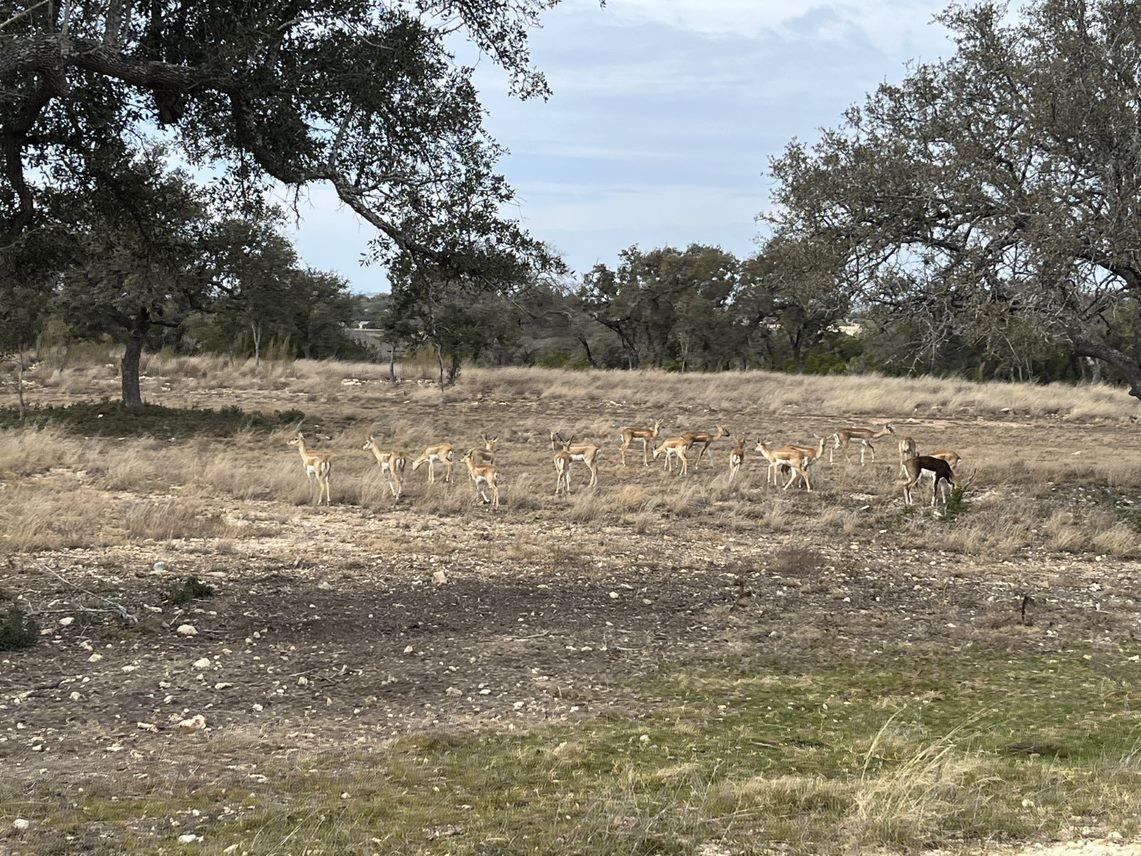 Lot 160 Brynn Dr Property Photo 14