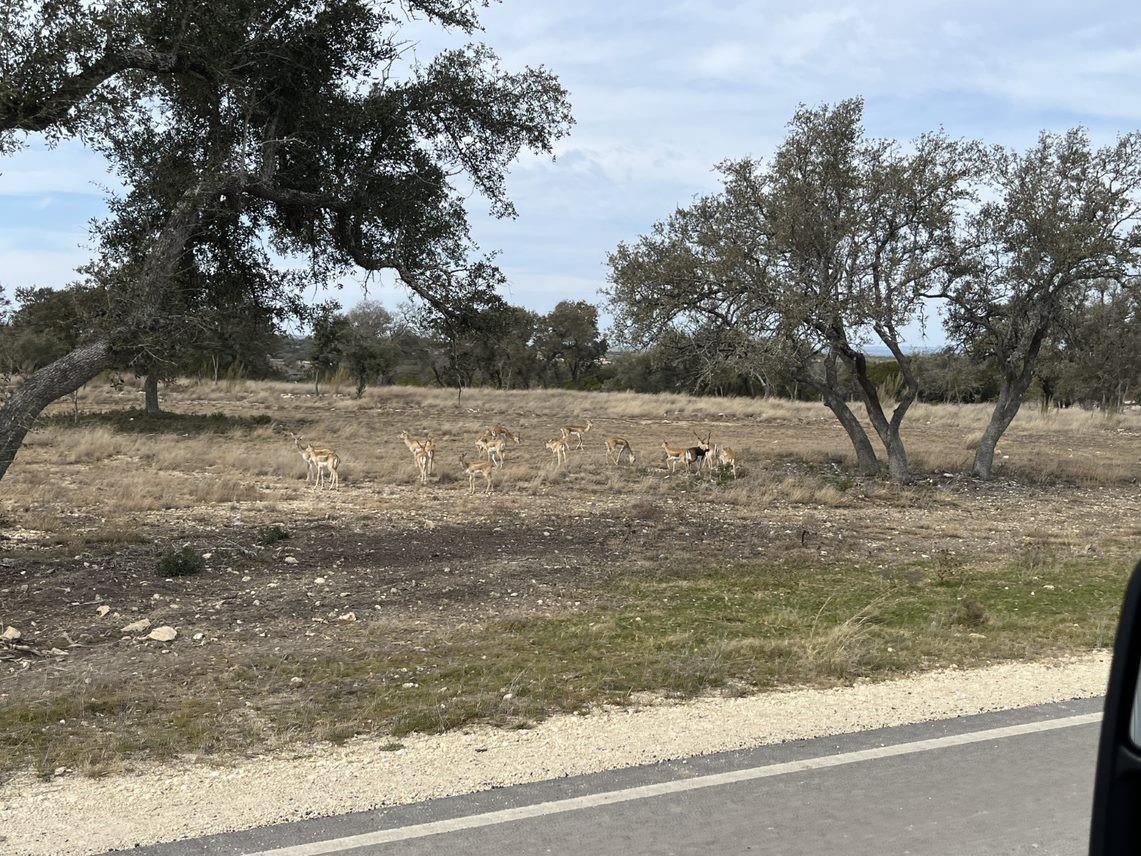 Lot 160 Brynn Dr Property Photo 17