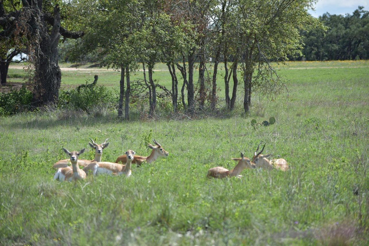 Lot 160 Brynn Dr Property Photo 20