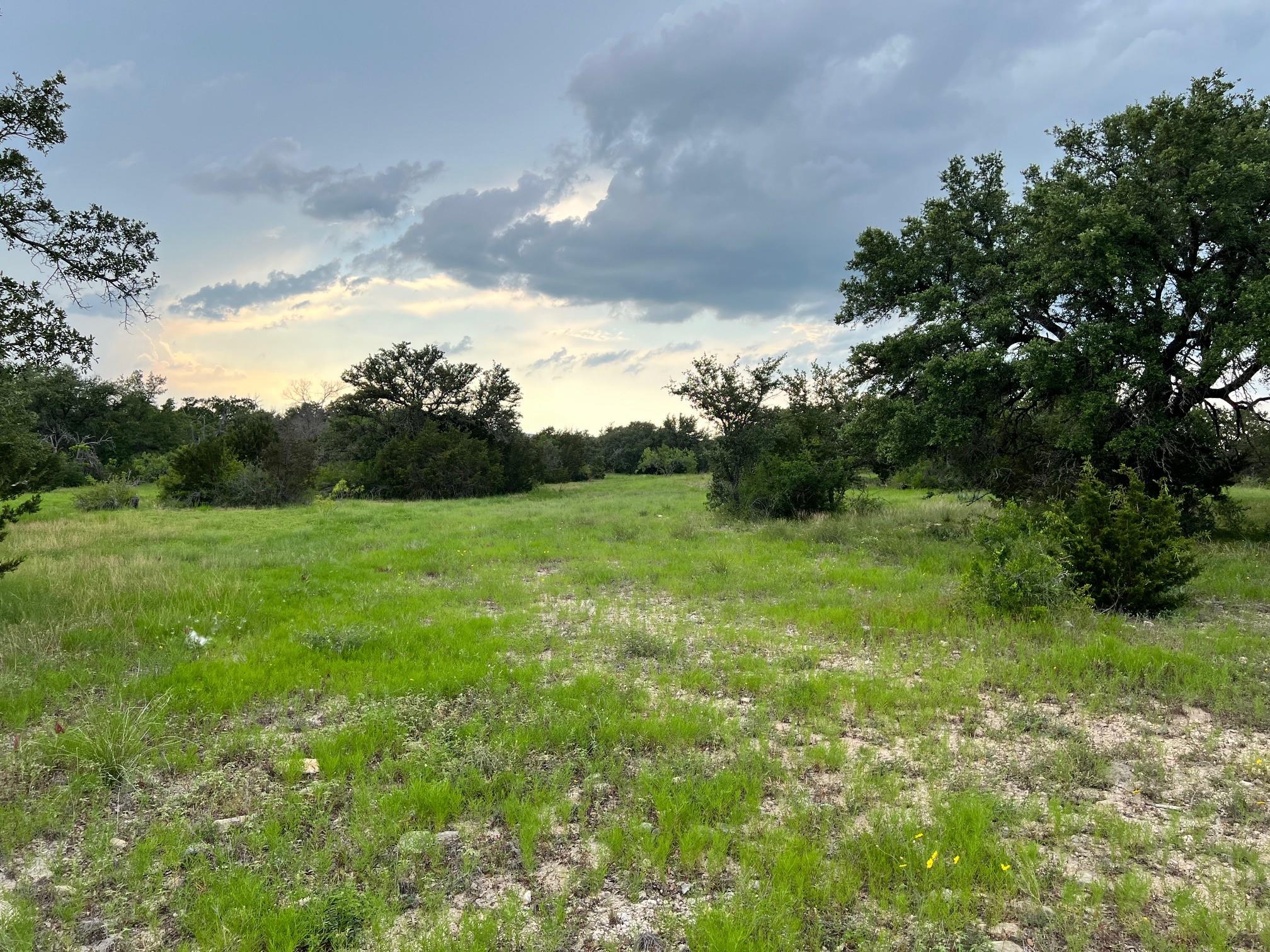 Tract 2 Fm 2561 Property Photo 6