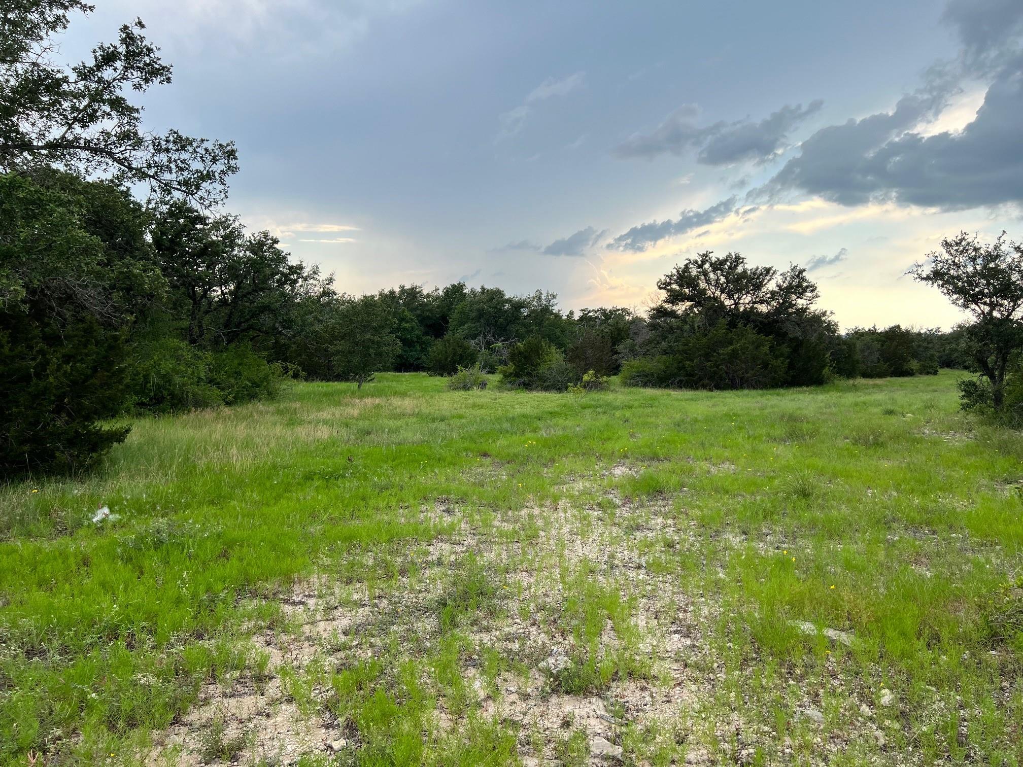 Tract 2 Fm 2561 Property Photo 7