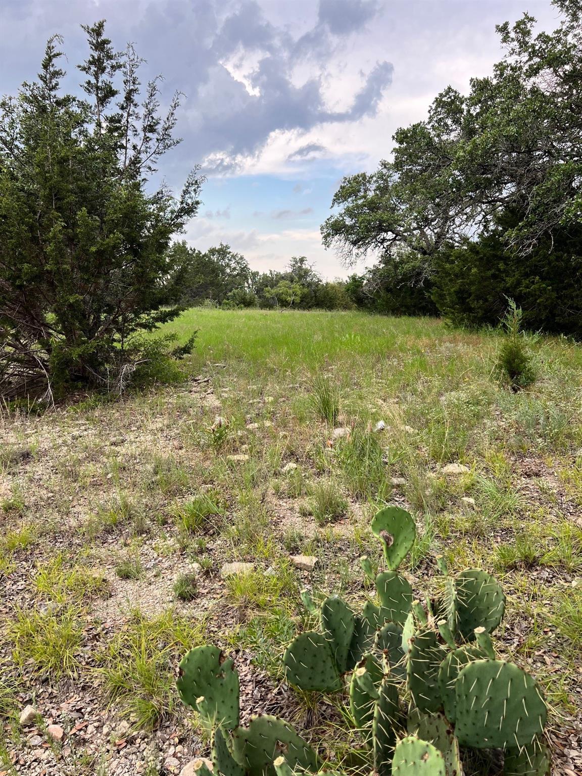 Tract 2 Fm 2561 Property Photo 8