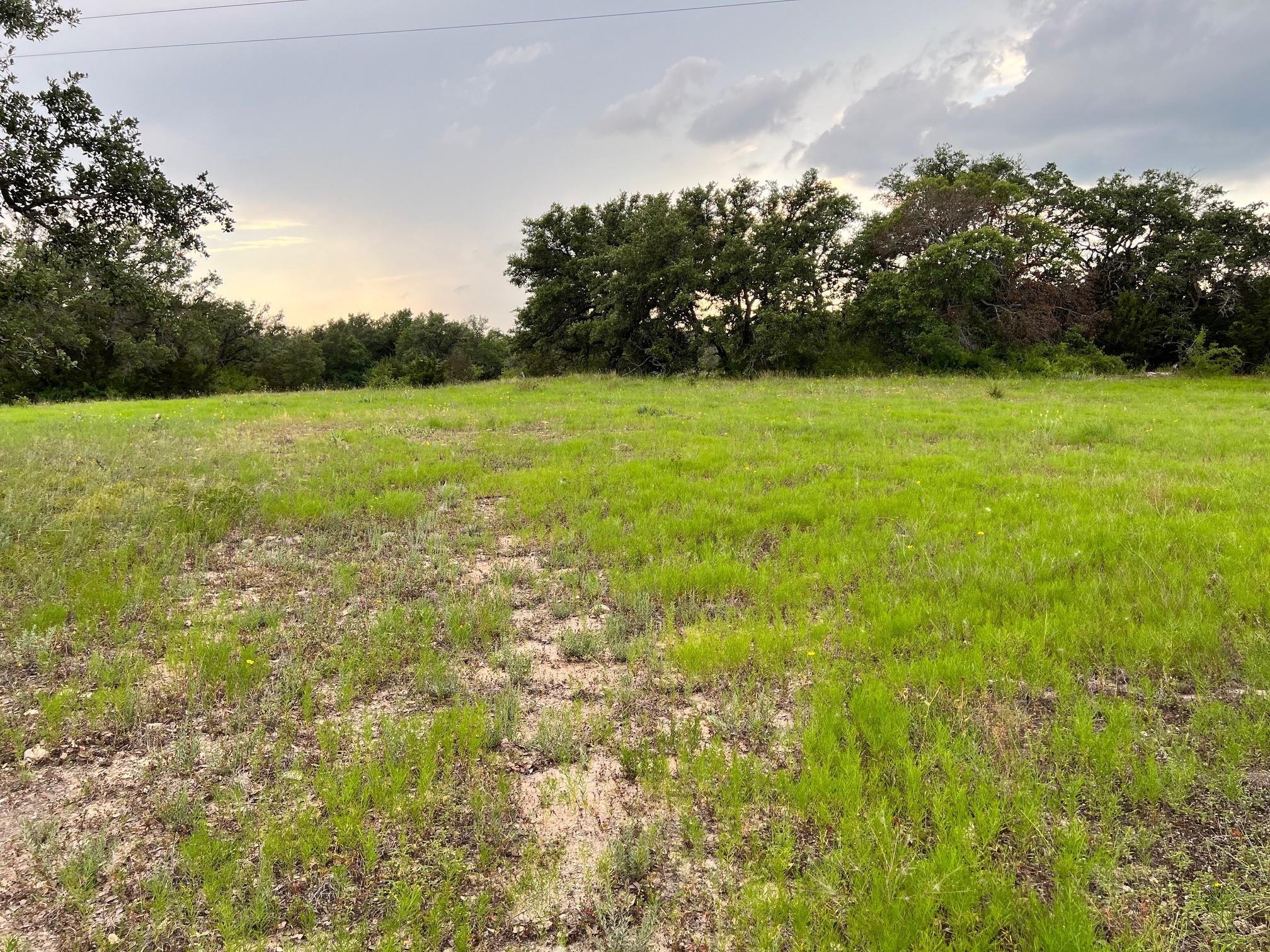 Tract 2 Fm 2561 Property Photo 9