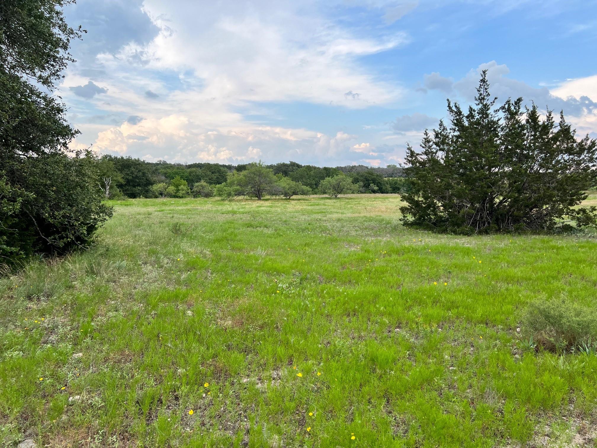Tract 2 Fm 2561 Property Photo 10
