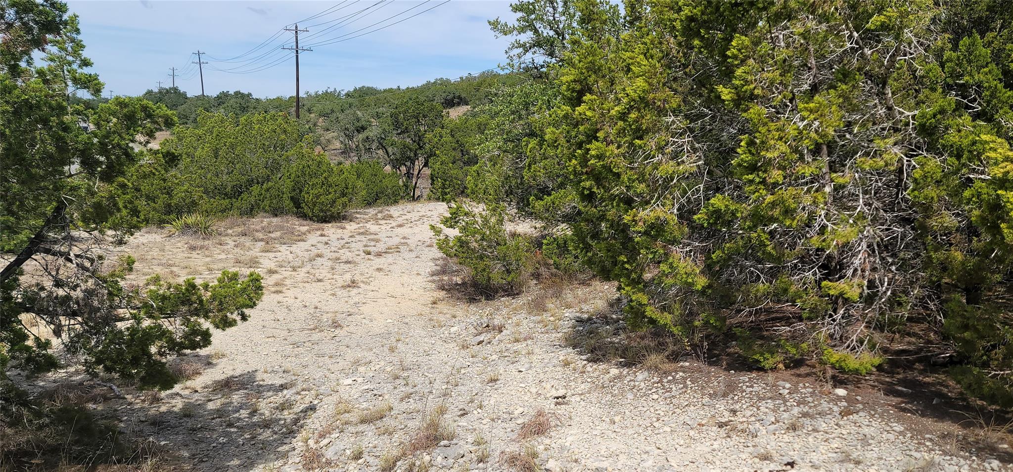19614 Boggy Ford Rd Property Photo 6