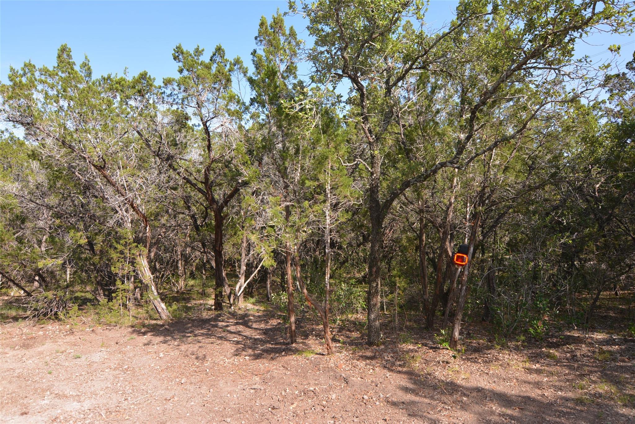 18204 Easy St Property Photo 9