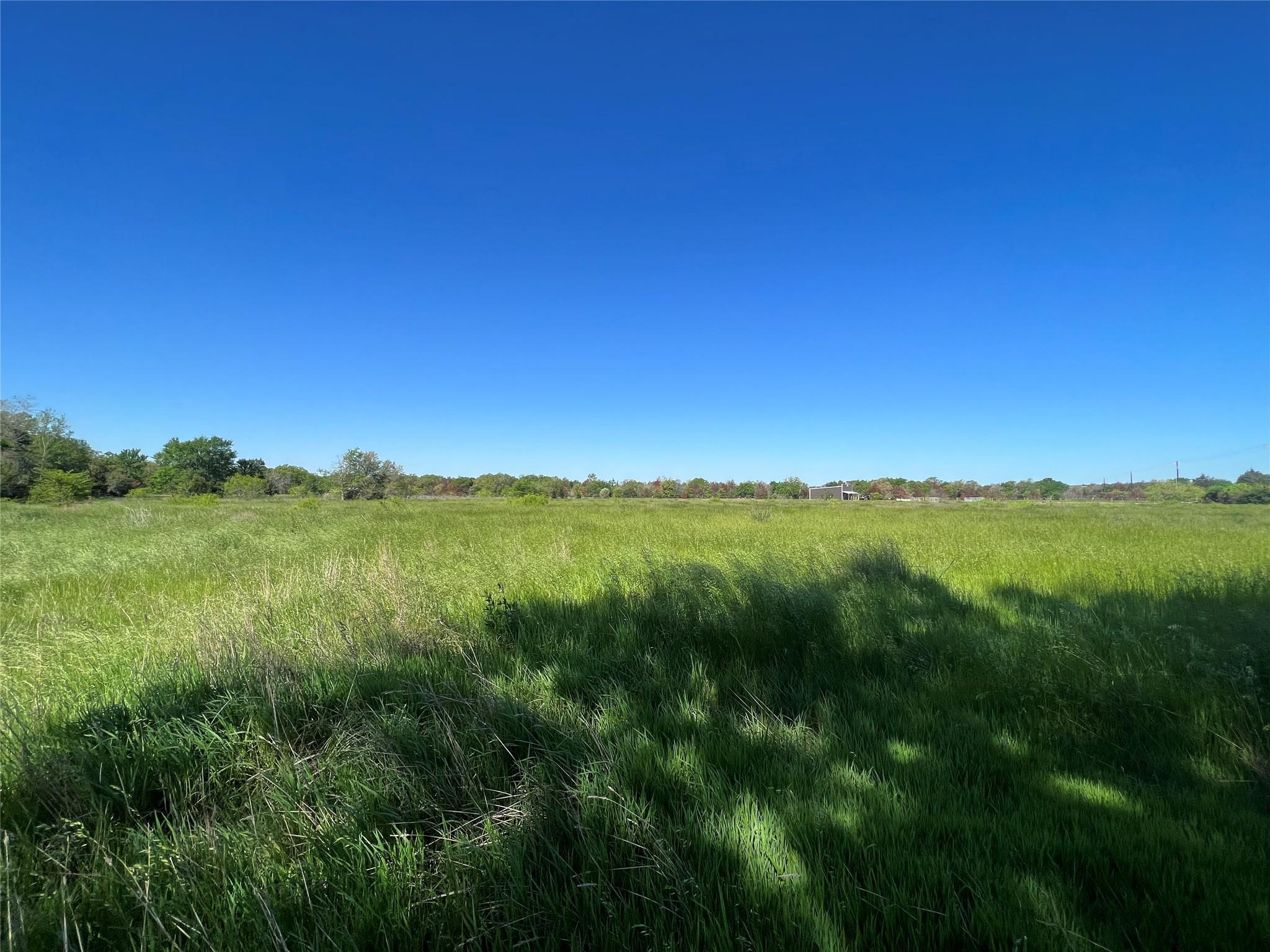 9203 Highway 21 Highway Property Photo 3