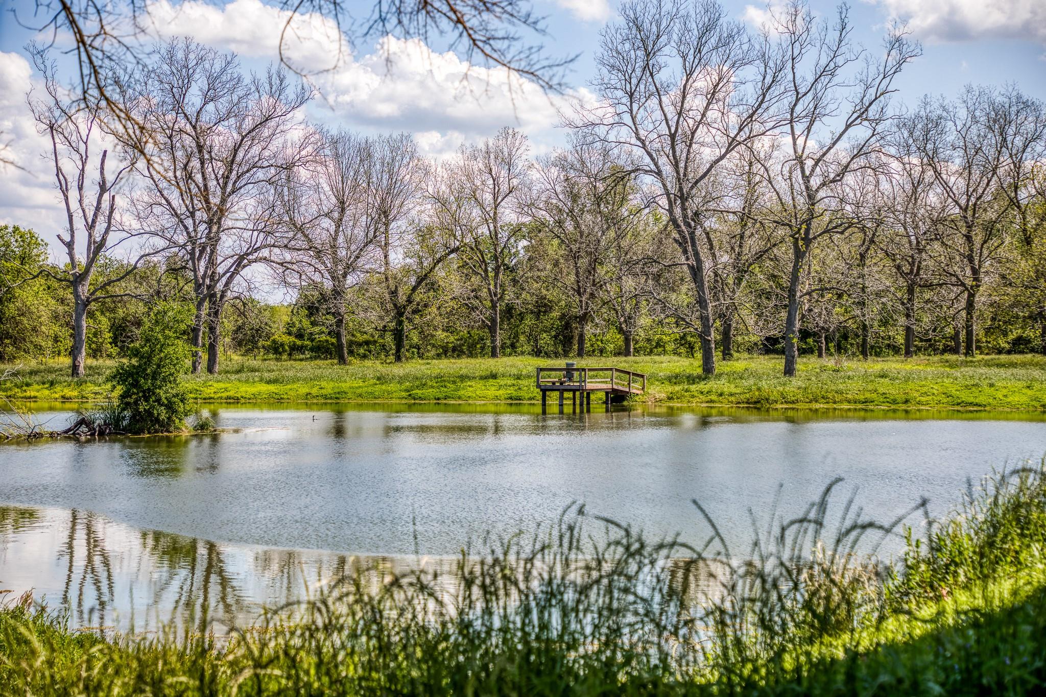 42493 Fm 1458 Rd Property Photo 10