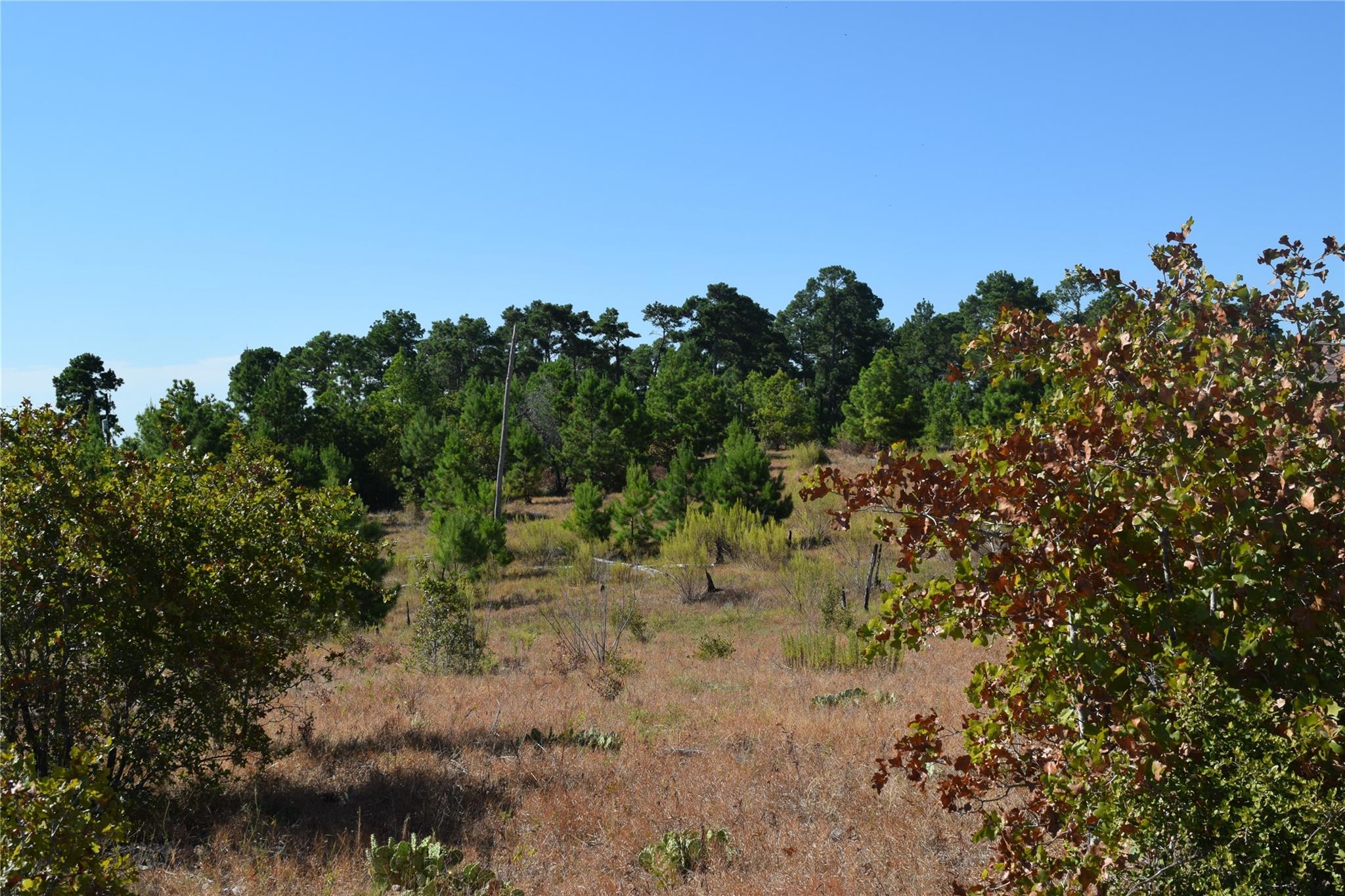 6863054 Property Photo 1
