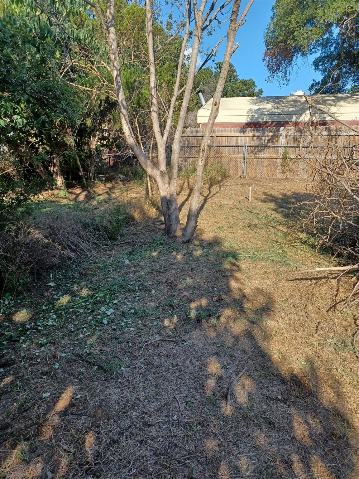 1405 Kingshigh Dr Property Photo 4