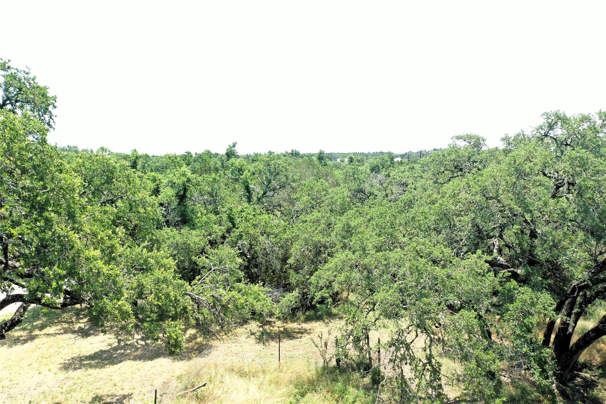 12600 Trail Driver St Property Photo 10