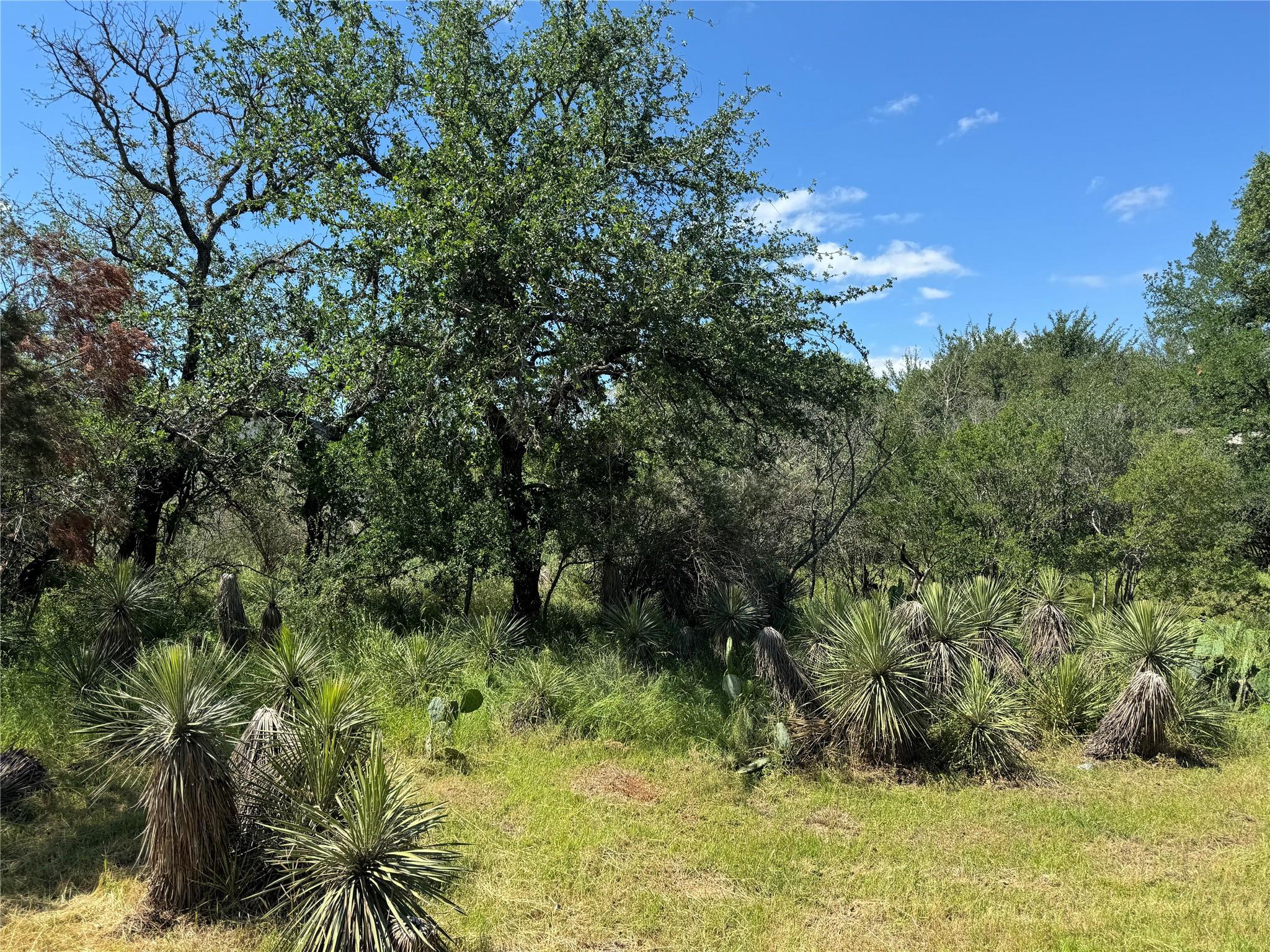 Lot 173 & 174 W Briar Dr Property Photo 1