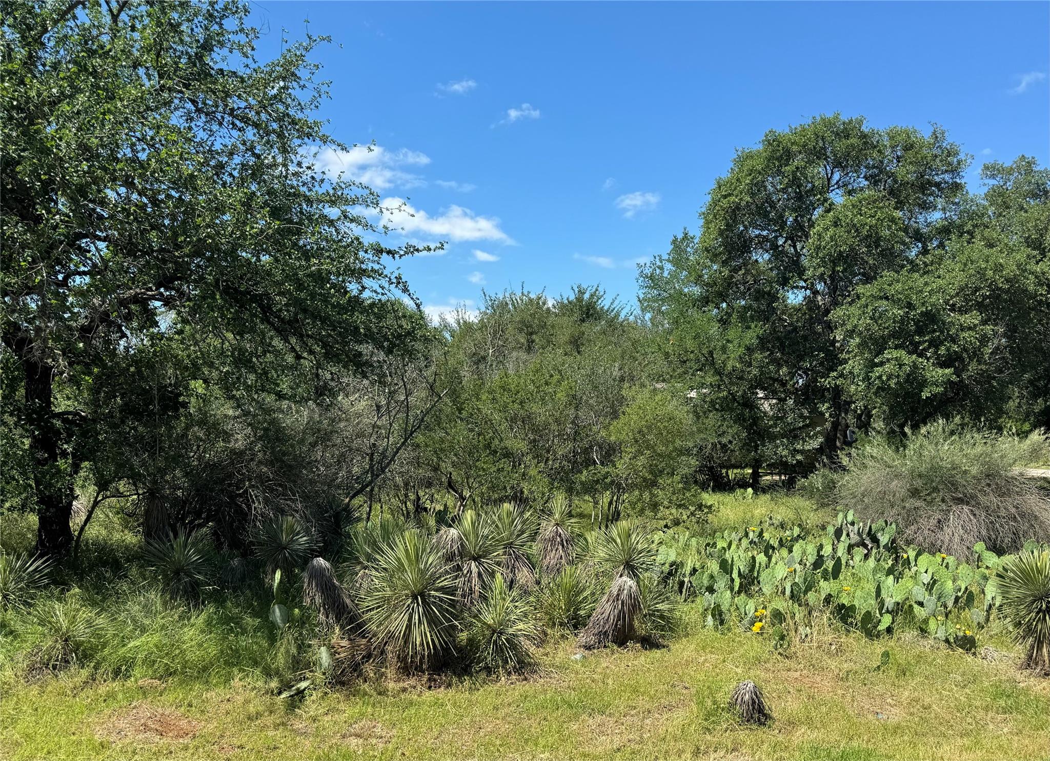 Lot 173 & 174 W Briar Dr Property Photo 2